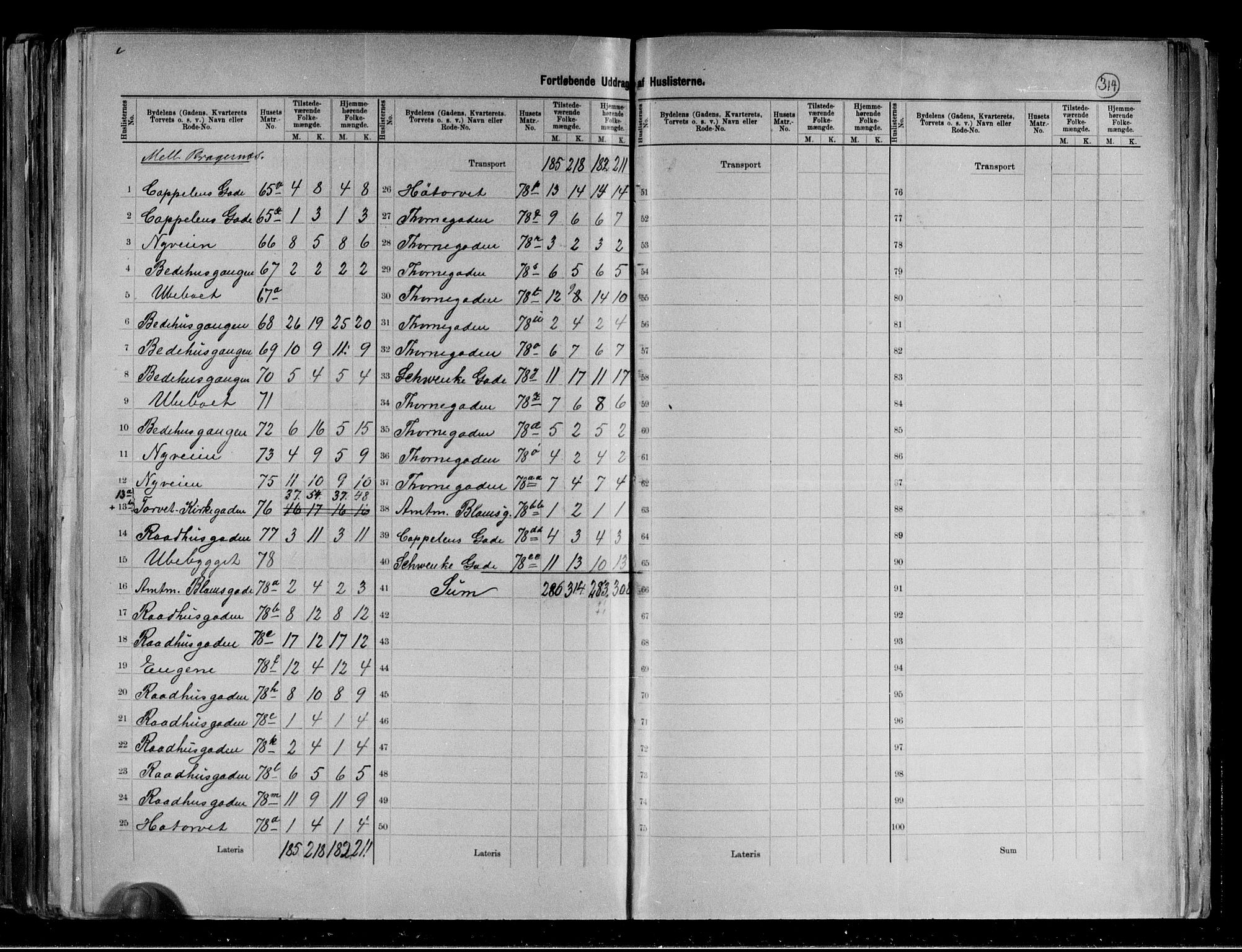 RA, 1891 census for 0602 Drammen, 1891, p. 29