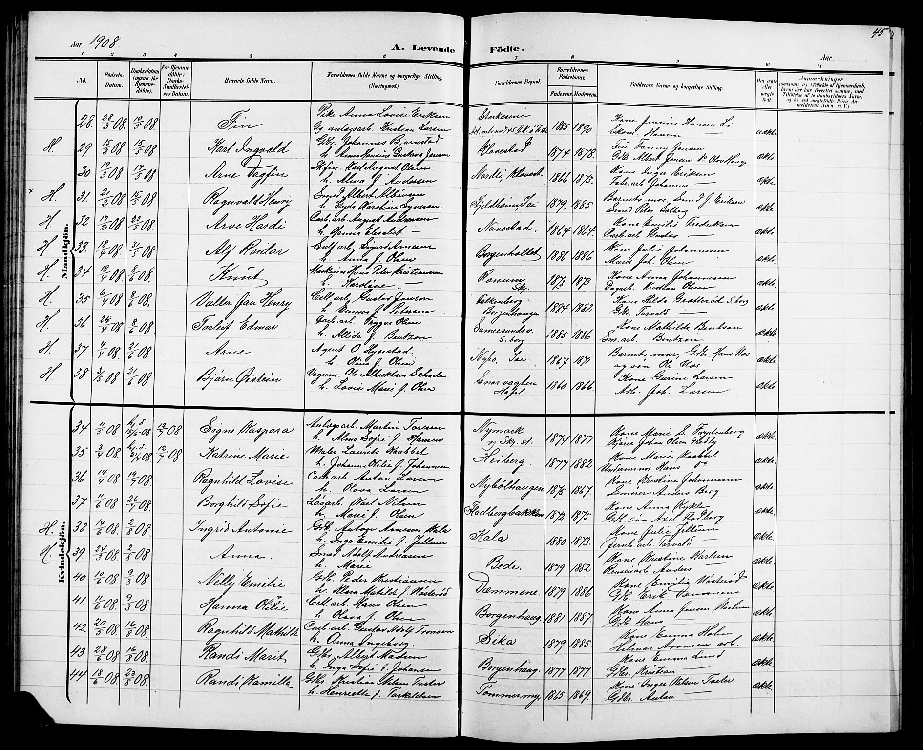Skjeberg prestekontor Kirkebøker, SAO/A-10923/G/Ga/L0002: Parish register (copy) no. I 2, 1901-1924, p. 45