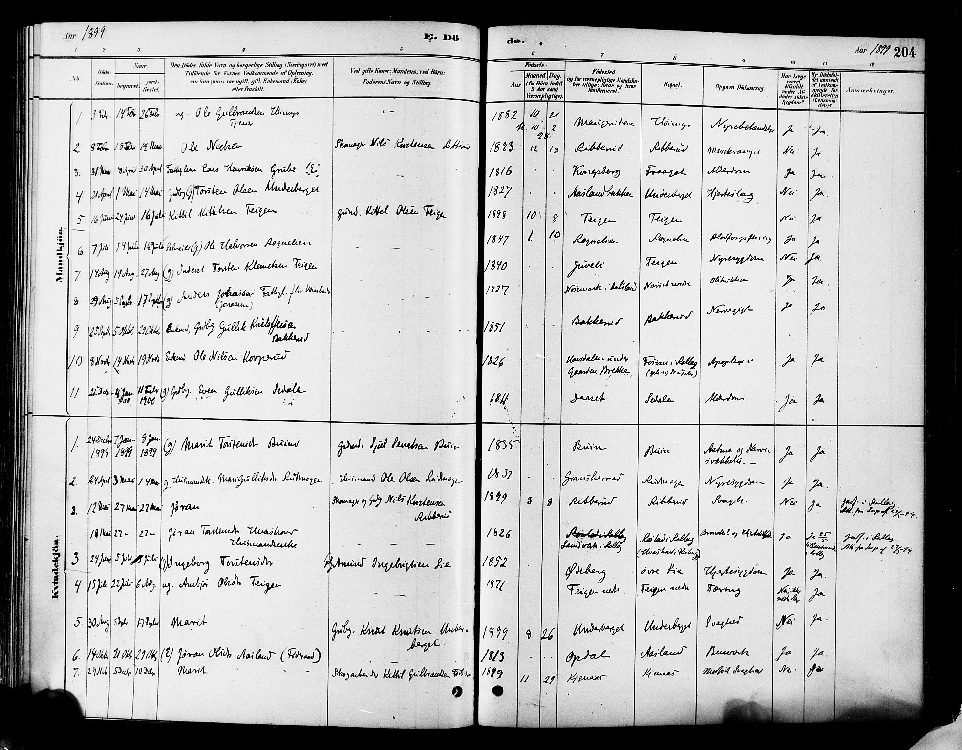 Flesberg kirkebøker, SAKO/A-18/F/Fa/L0008: Parish register (official) no. I 8, 1879-1899, p. 204