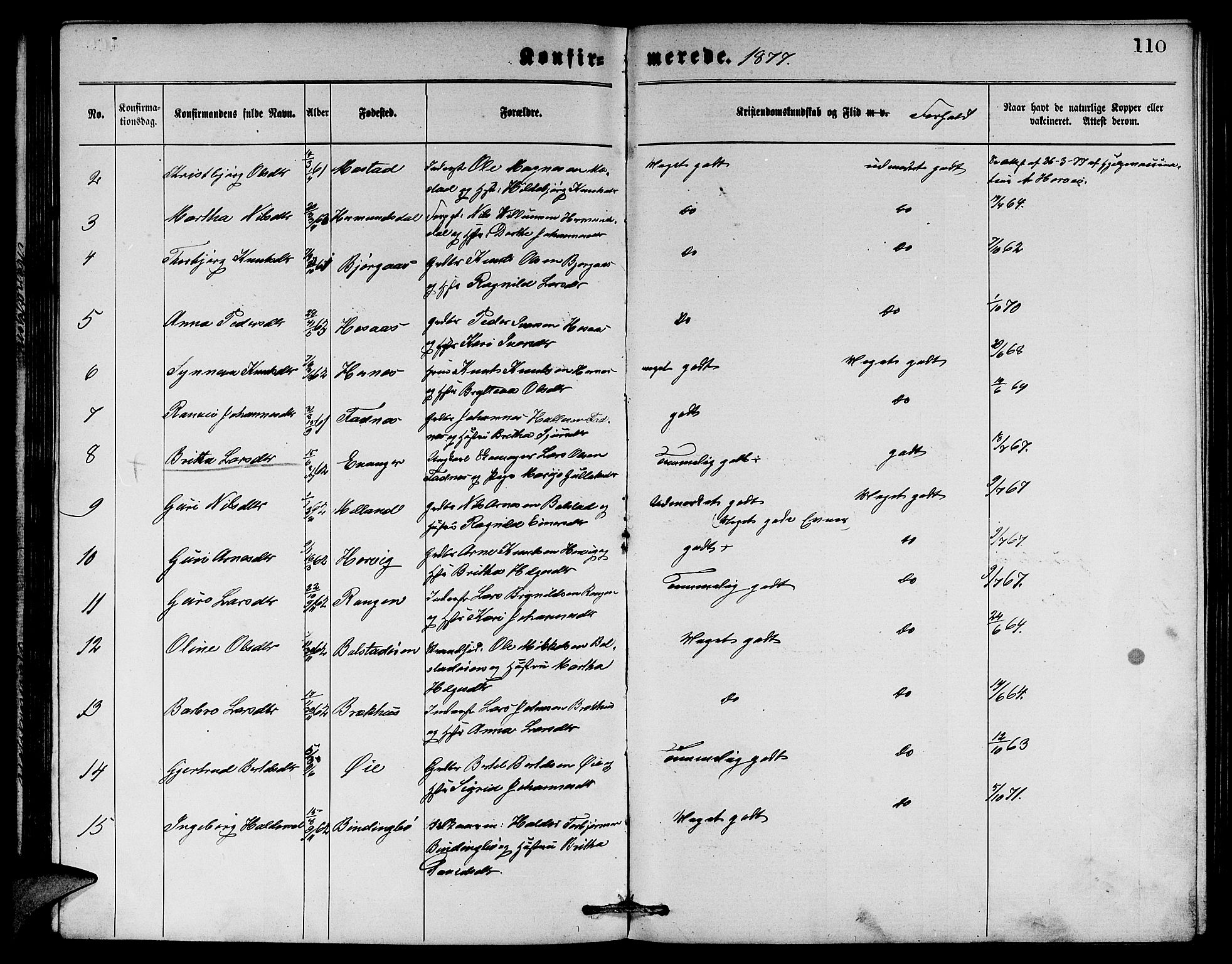 Evanger sokneprestembete, SAB/A-99924: Parish register (copy) no. A 3, 1875-1887, p. 110