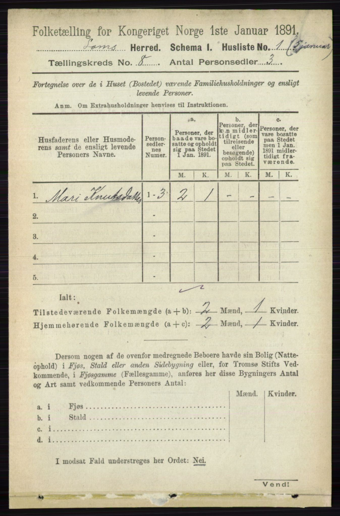 RA, 1891 census for 0514 Lom, 1891, p. 3043