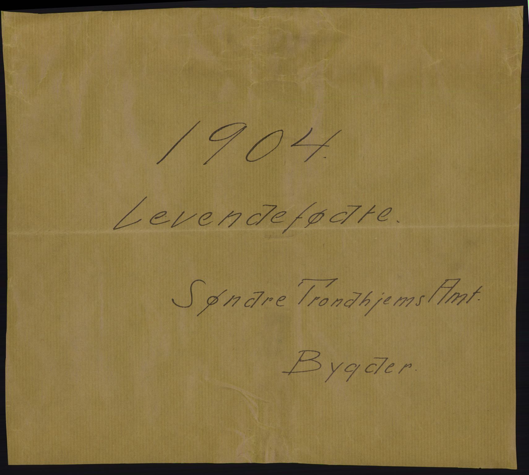 Statistisk sentralbyrå, Sosiodemografiske emner, Befolkning, AV/RA-S-2228/D/Df/Dfa/Dfab/L0017: Søndre Trondhjem amt: Fødte, gifte, døde. Bygder, 1904, p. 1