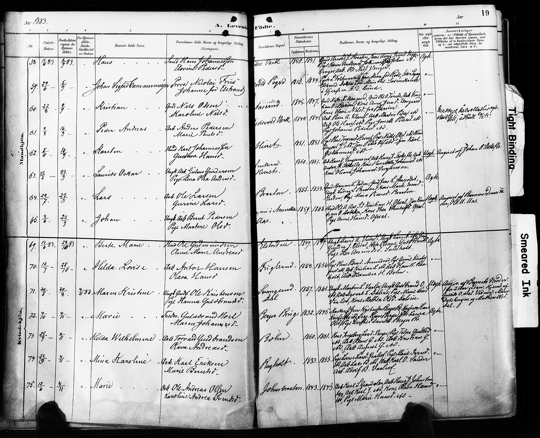 Eidsvoll prestekontor Kirkebøker, SAO/A-10888/F/Fa/L0002: Parish register (official) no. I 2, 1882-1895, p. 19