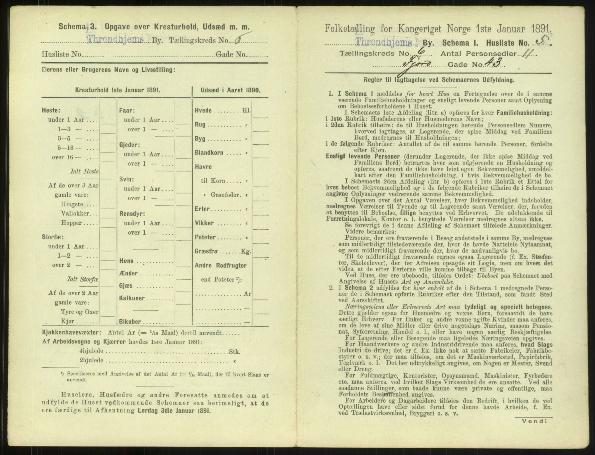 RA, 1891 census for 1601 Trondheim, 1891, p. 624