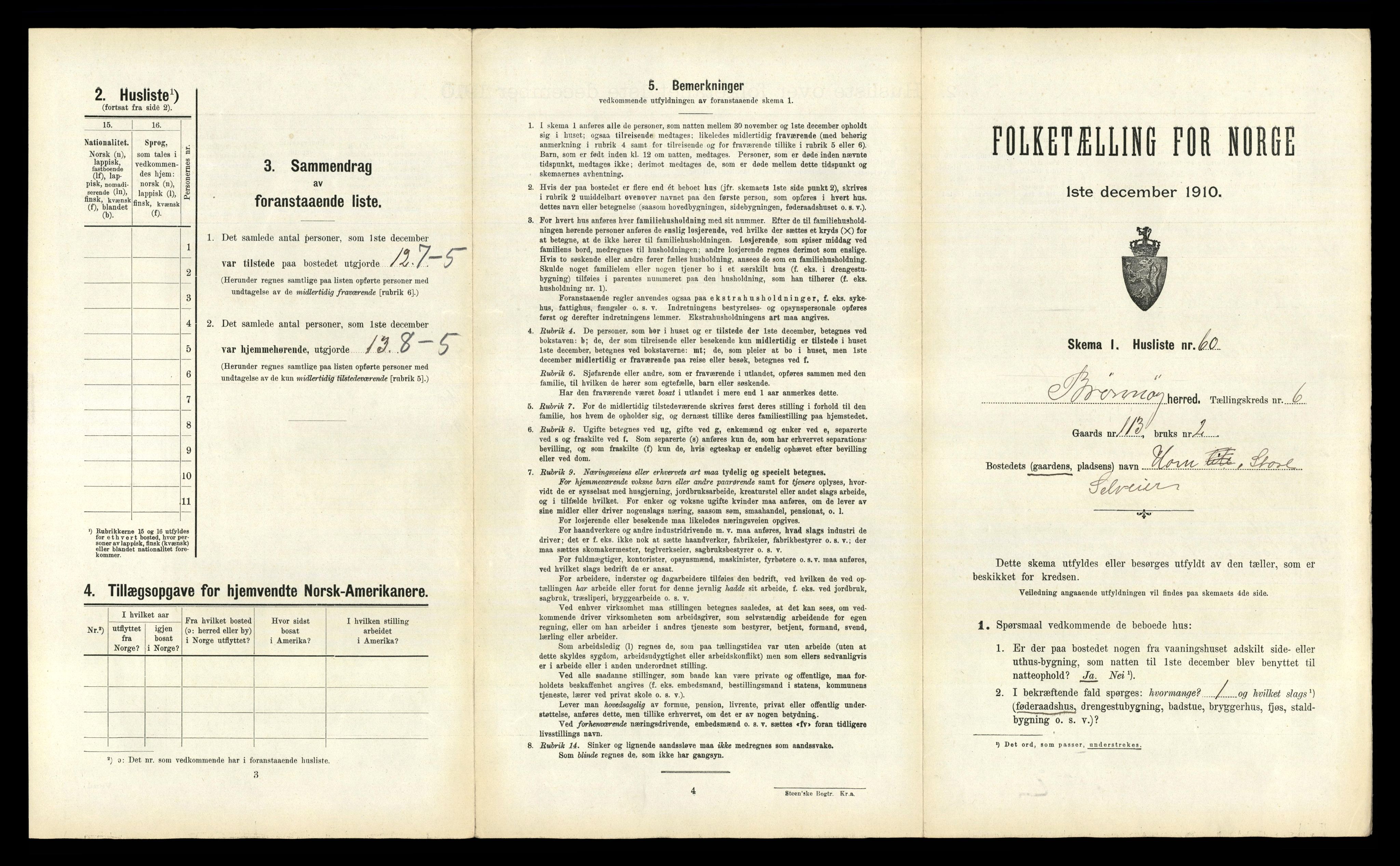 RA, 1910 census for Brønnøy, 1910, p. 593