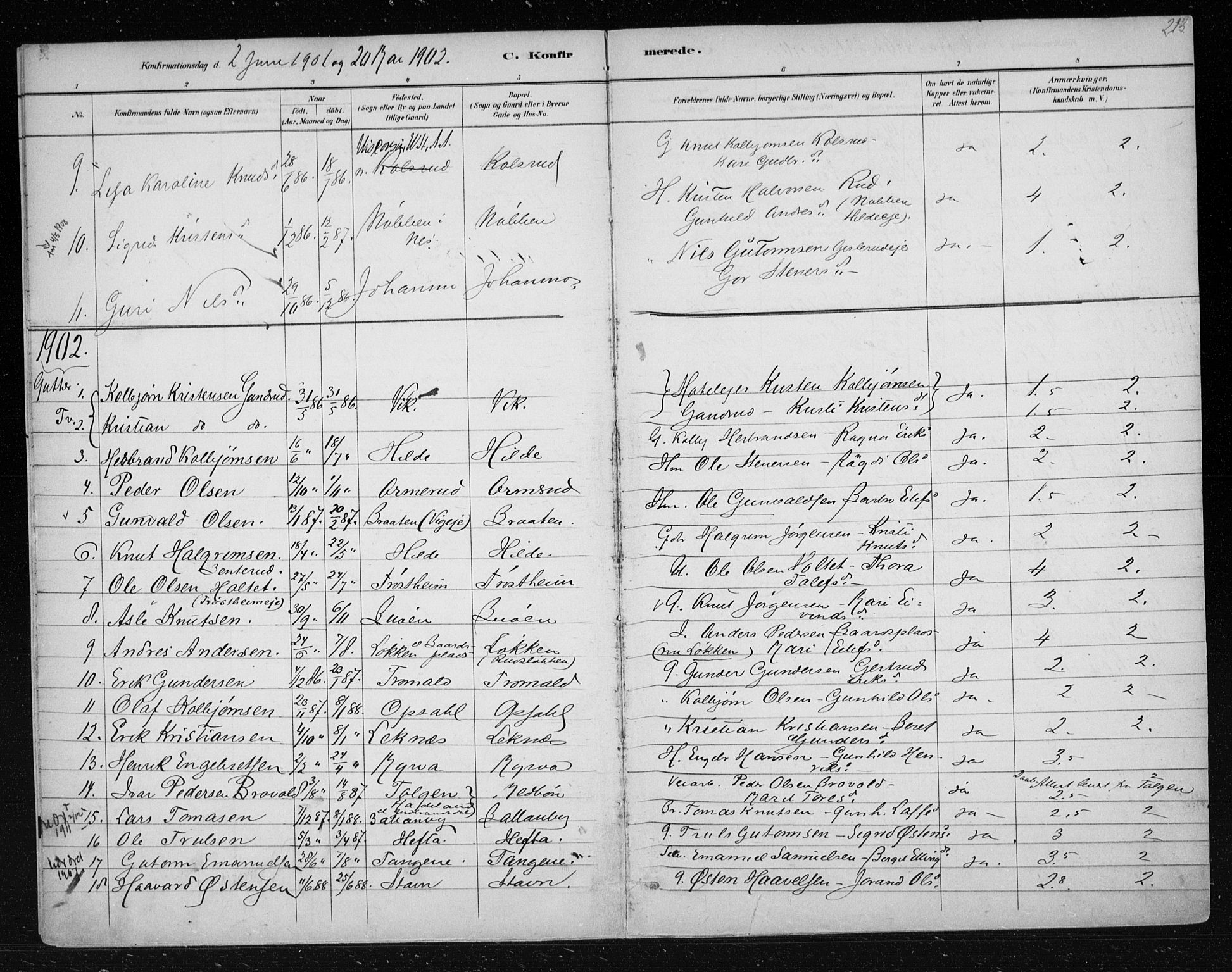 Nes kirkebøker, AV/SAKO-A-236/F/Fa/L0012: Parish register (official) no. 12, 1881-1917, p. 213