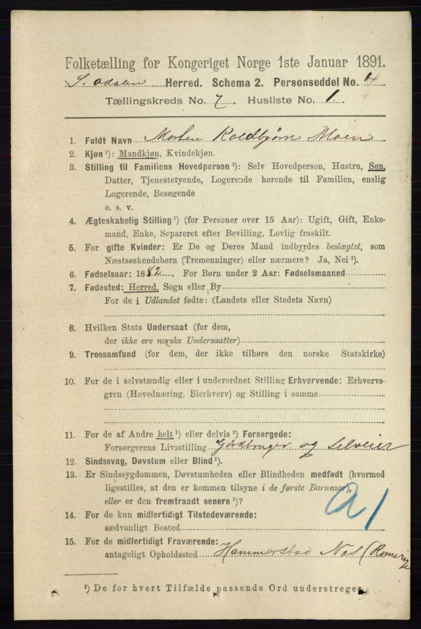 RA, 1891 census for 0419 Sør-Odal, 1891, p. 3558