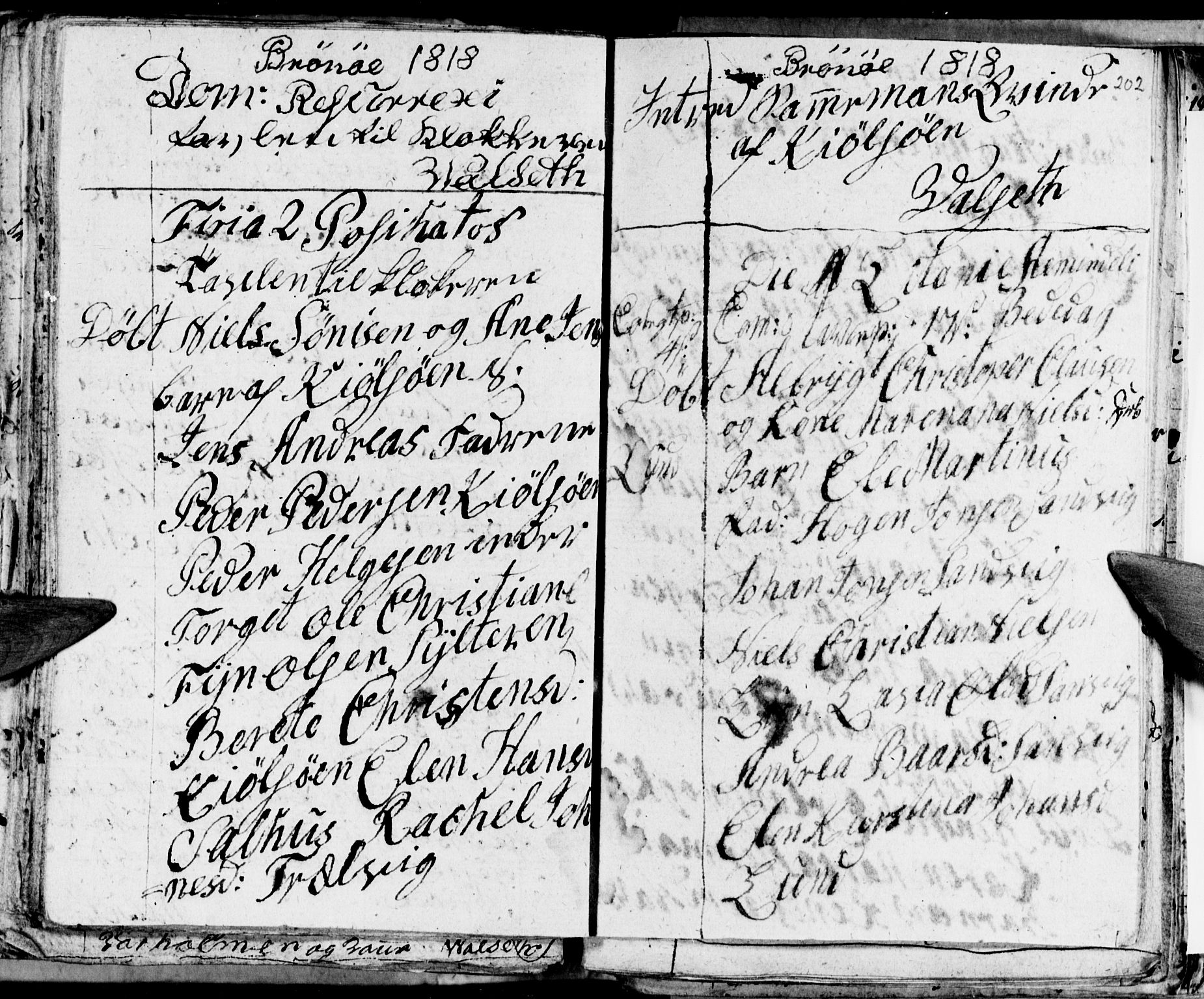 Ministerialprotokoller, klokkerbøker og fødselsregistre - Nordland, AV/SAT-A-1459/813/L0209: Parish register (copy) no. 813C01, 1803-1821, p. 202