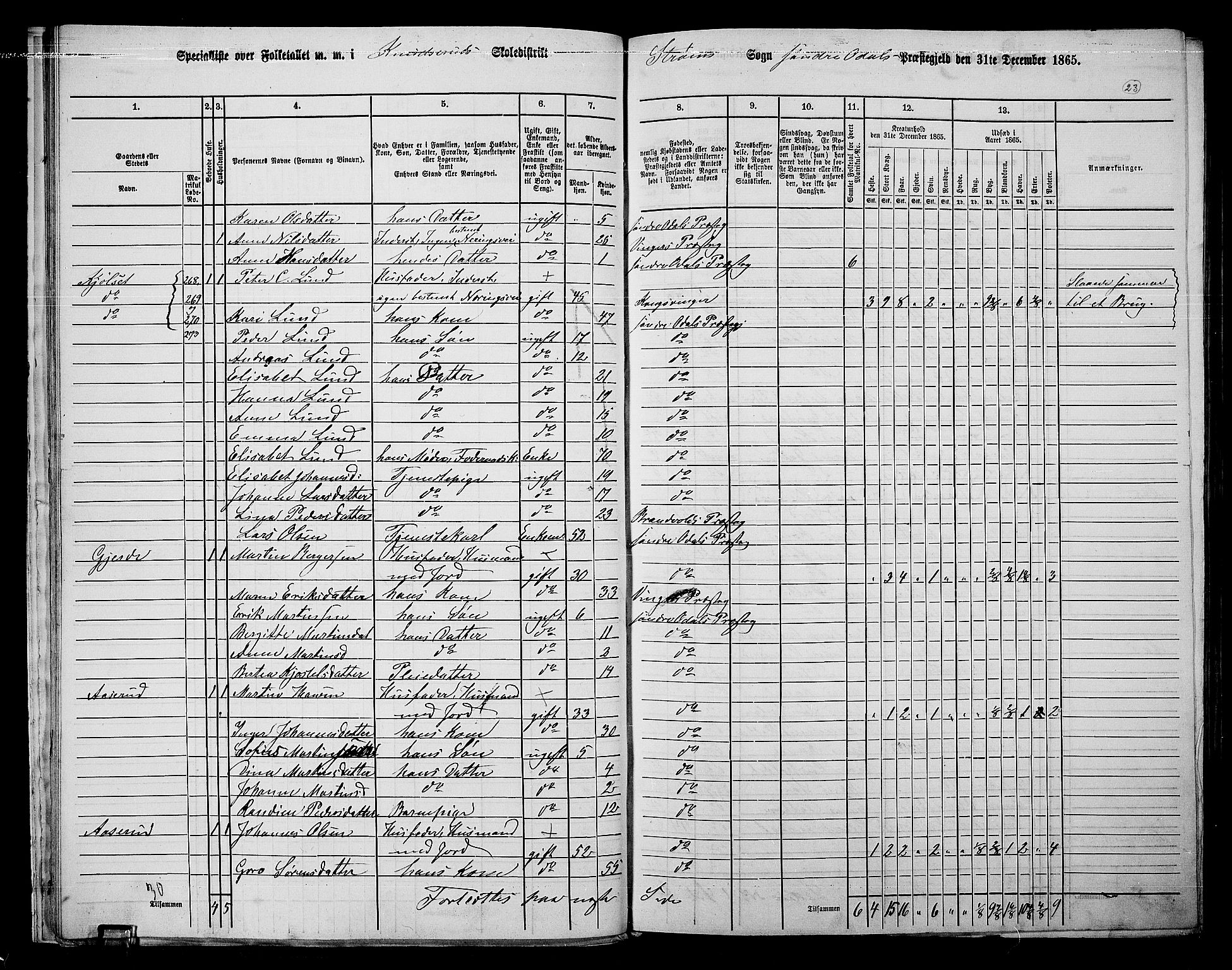 RA, 1865 census for Sør-Odal, 1865, p. 21