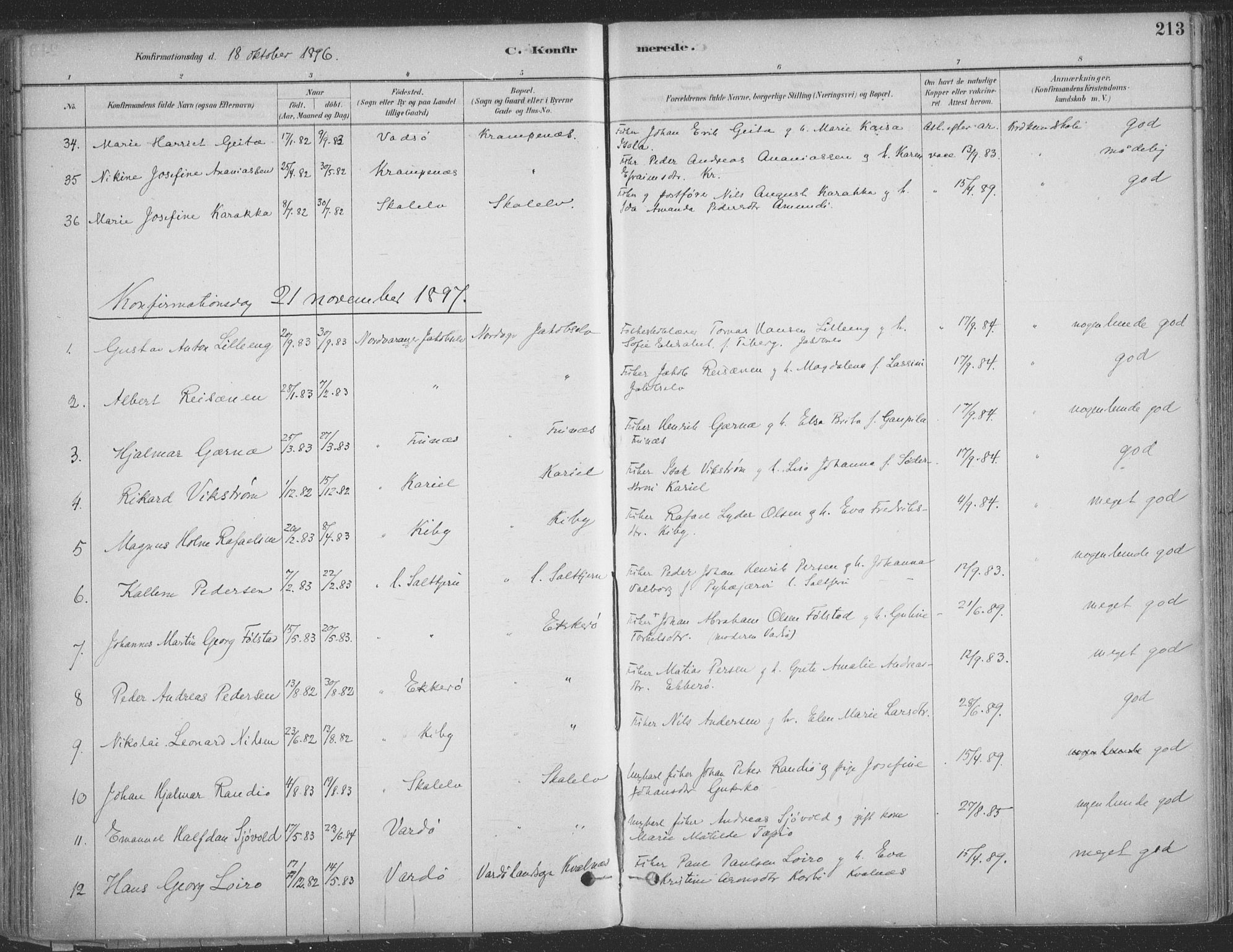 Vadsø sokneprestkontor, SATØ/S-1325/H/Ha/L0009kirke: Parish register (official) no. 9, 1881-1917, p. 213