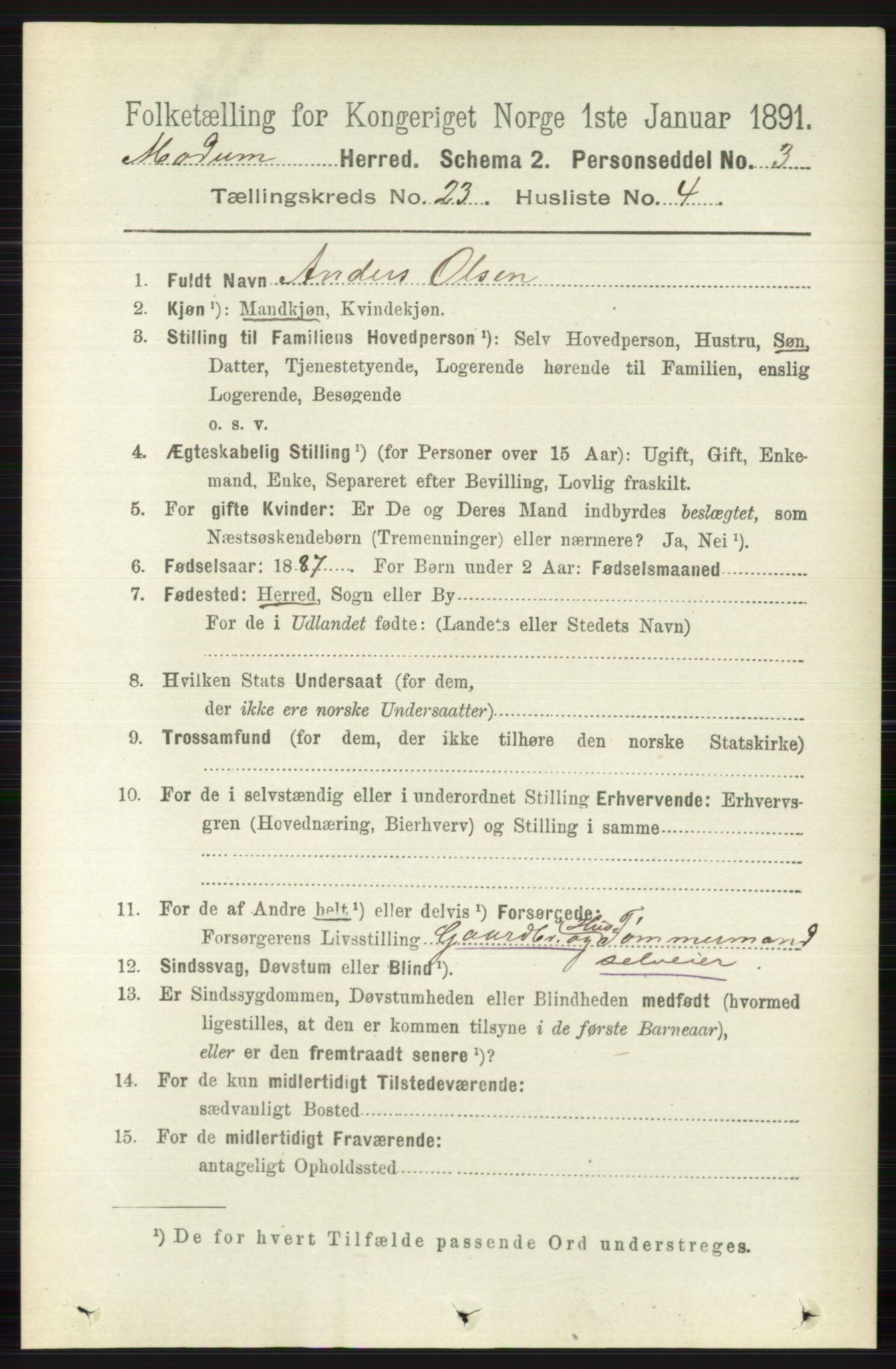 RA, 1891 census for 0623 Modum, 1891, p. 8717