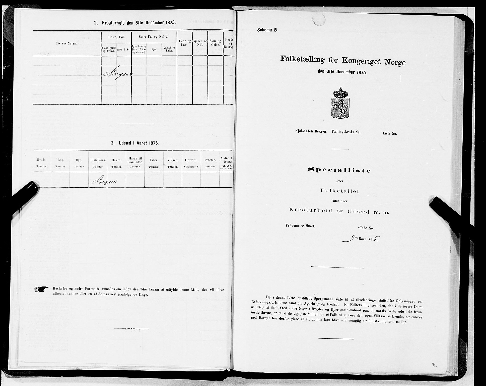 SAB, 1875 census for 1301 Bergen, 1875, p. 523