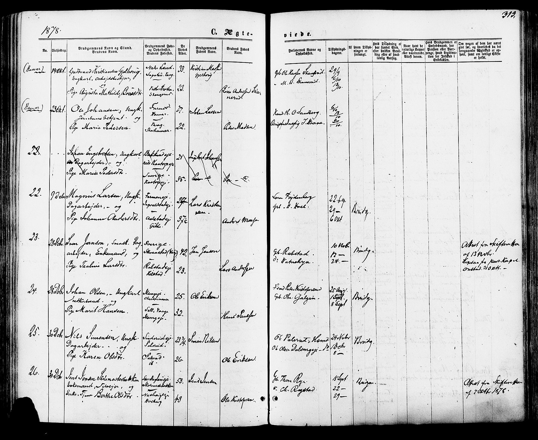 Vang prestekontor, Hedmark, SAH/PREST-008/H/Ha/Haa/L0015: Parish register (official) no. 15, 1871-1885, p. 313