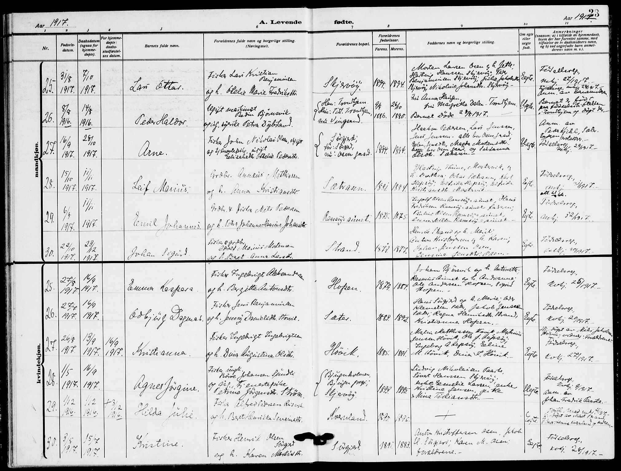 Ministerialprotokoller, klokkerbøker og fødselsregistre - Sør-Trøndelag, SAT/A-1456/658/L0724: Parish register (official) no. 658A03, 1912-1924, p. 23