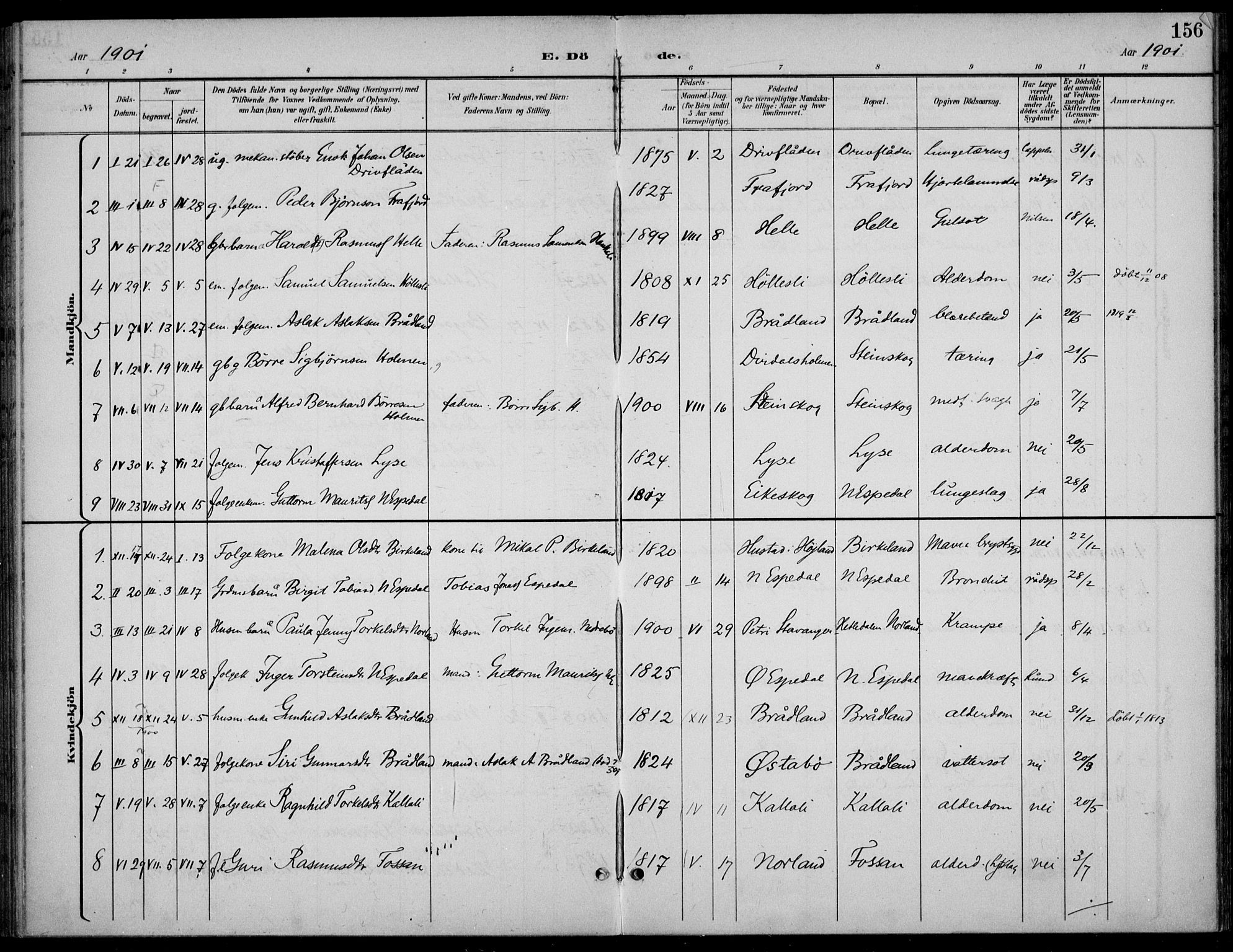 Høgsfjord sokneprestkontor, AV/SAST-A-101624/H/Ha/Haa/L0007: Parish register (official) no. A 7, 1898-1917, p. 156