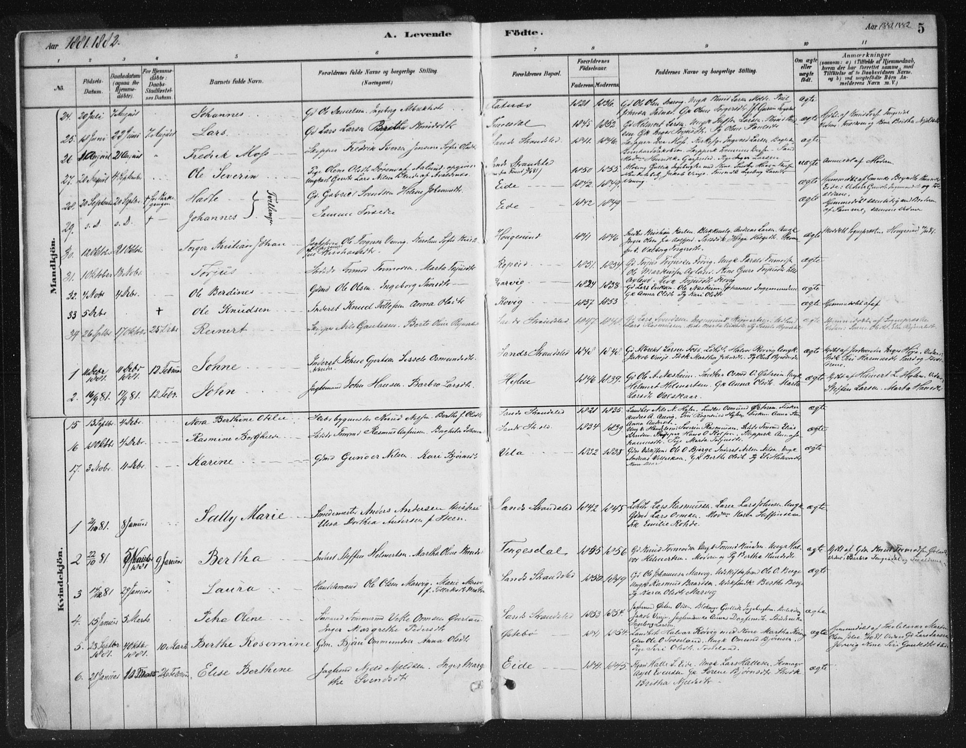 Sand sokneprestkontor, SAST/A-101848/01/III/L0005: Parish register (official) no. A 5, 1880-1898, p. 5