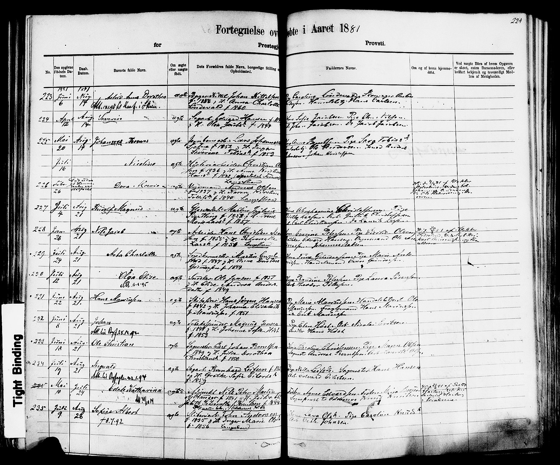 Larvik kirkebøker, AV/SAKO-A-352/F/Fa/L0006: Parish register (official) no. I 6, 1871-1883, p. 224