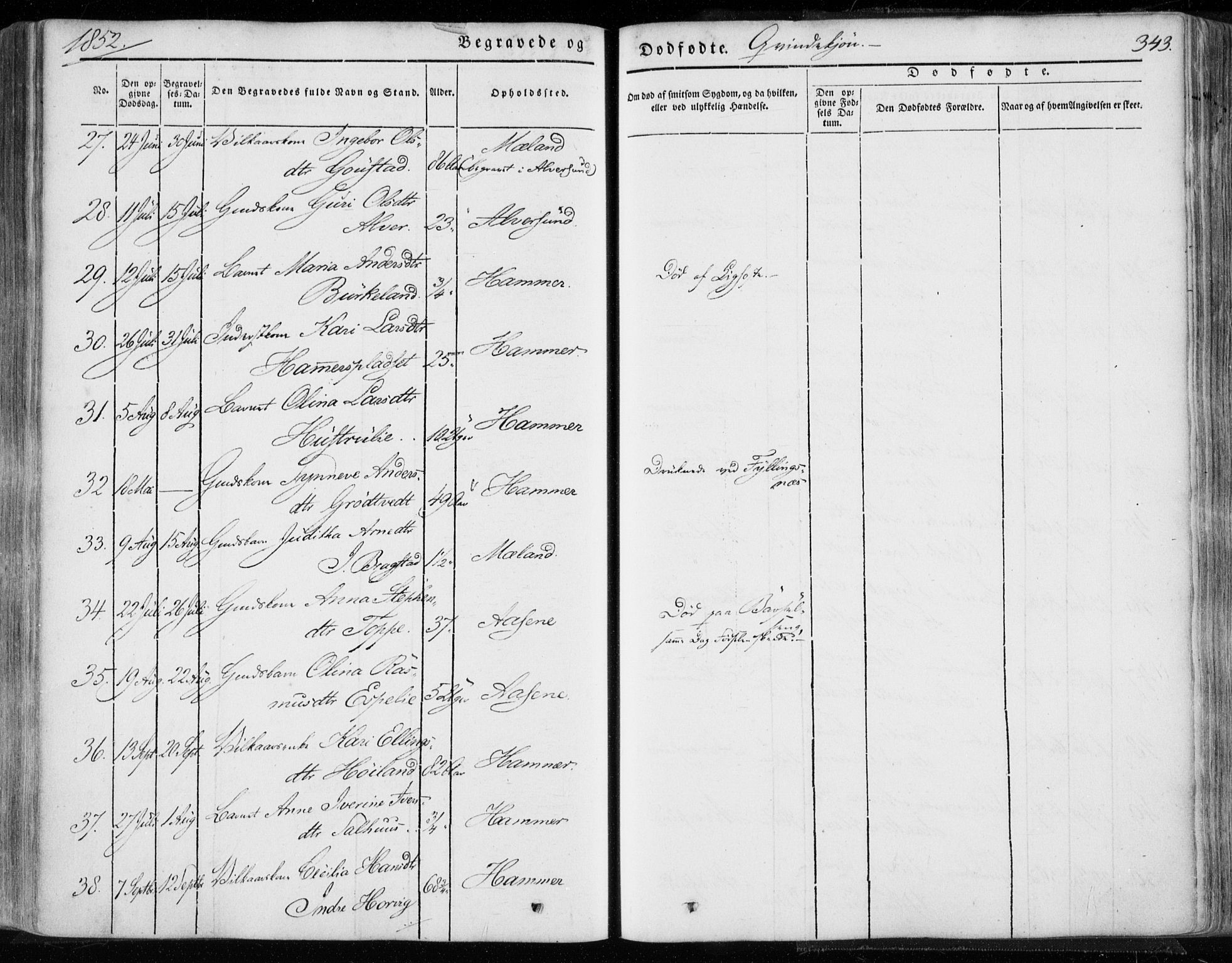 Hamre sokneprestembete, AV/SAB-A-75501/H/Ha/Haa/Haaa/L0013: Parish register (official) no. A 13, 1846-1857, p. 343