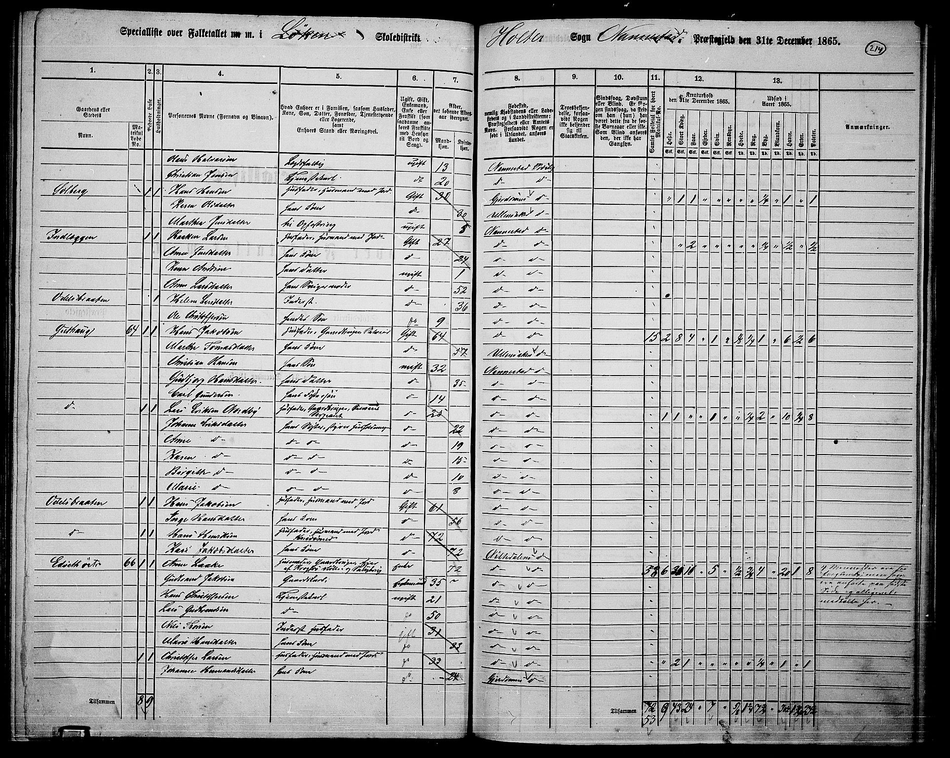 RA, 1865 census for Nannestad, 1865, p. 96