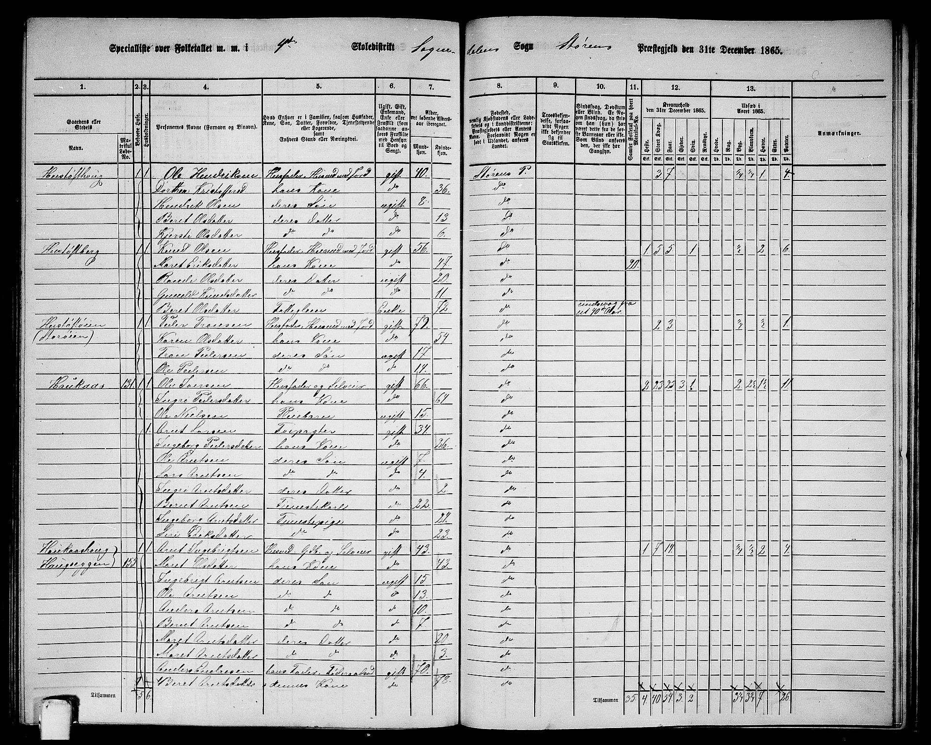 RA, 1865 census for Støren, 1865, p. 282