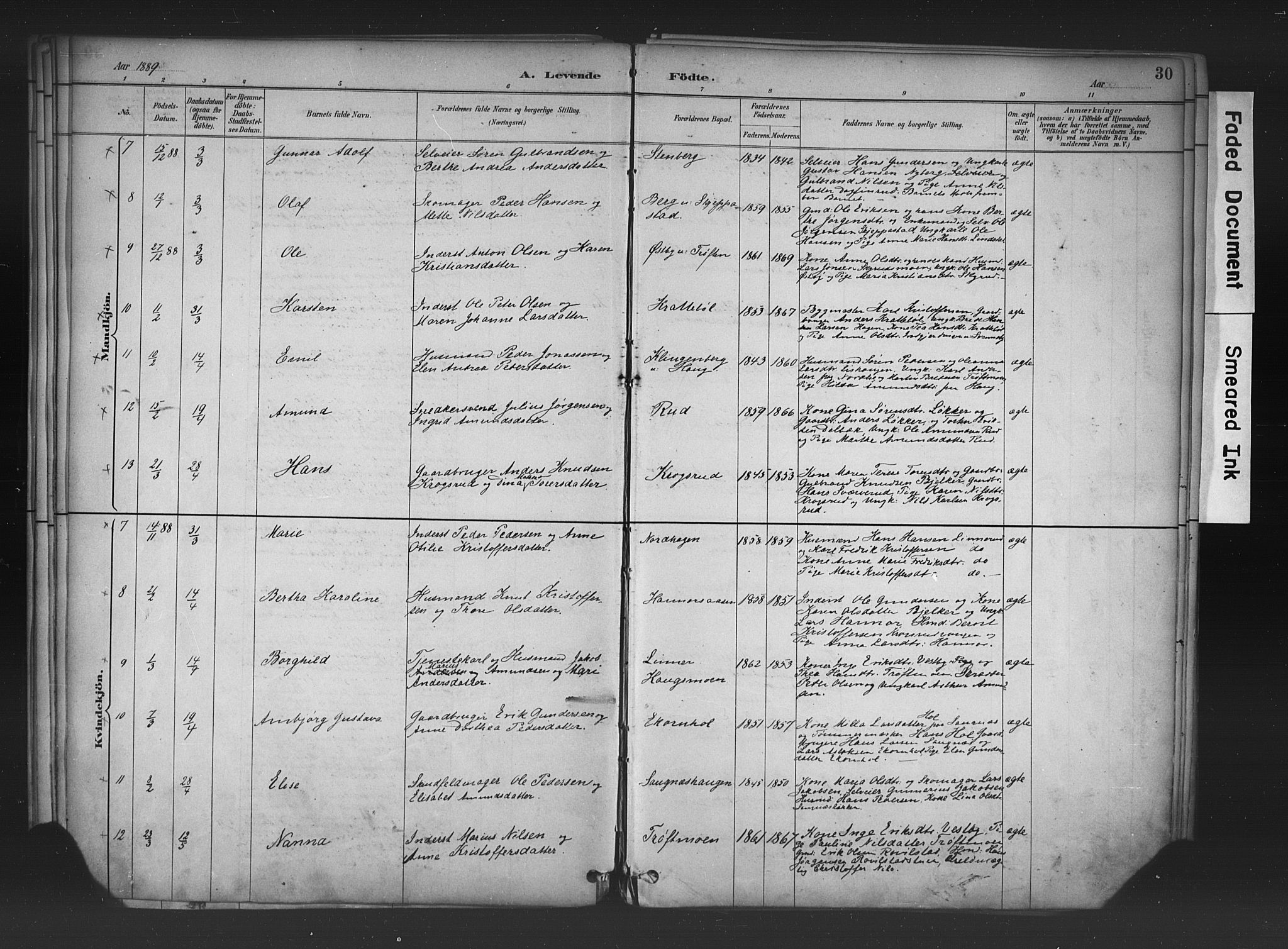 Nord-Odal prestekontor, AV/SAH-PREST-032/H/Ha/Haa/L0006: Parish register (official) no. 6, 1886-1901, p. 30