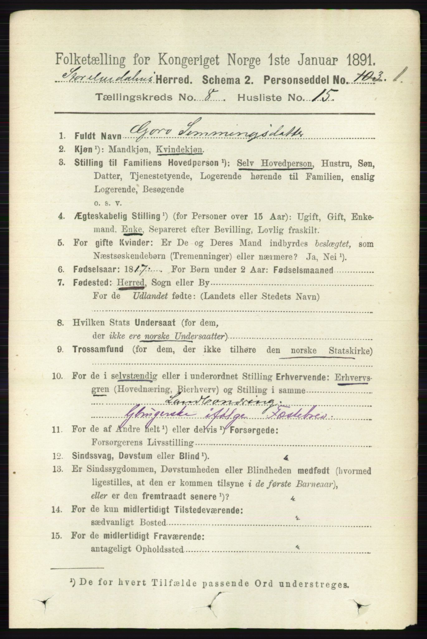 RA, 1891 census for 0430 Stor-Elvdal, 1891, p. 3545