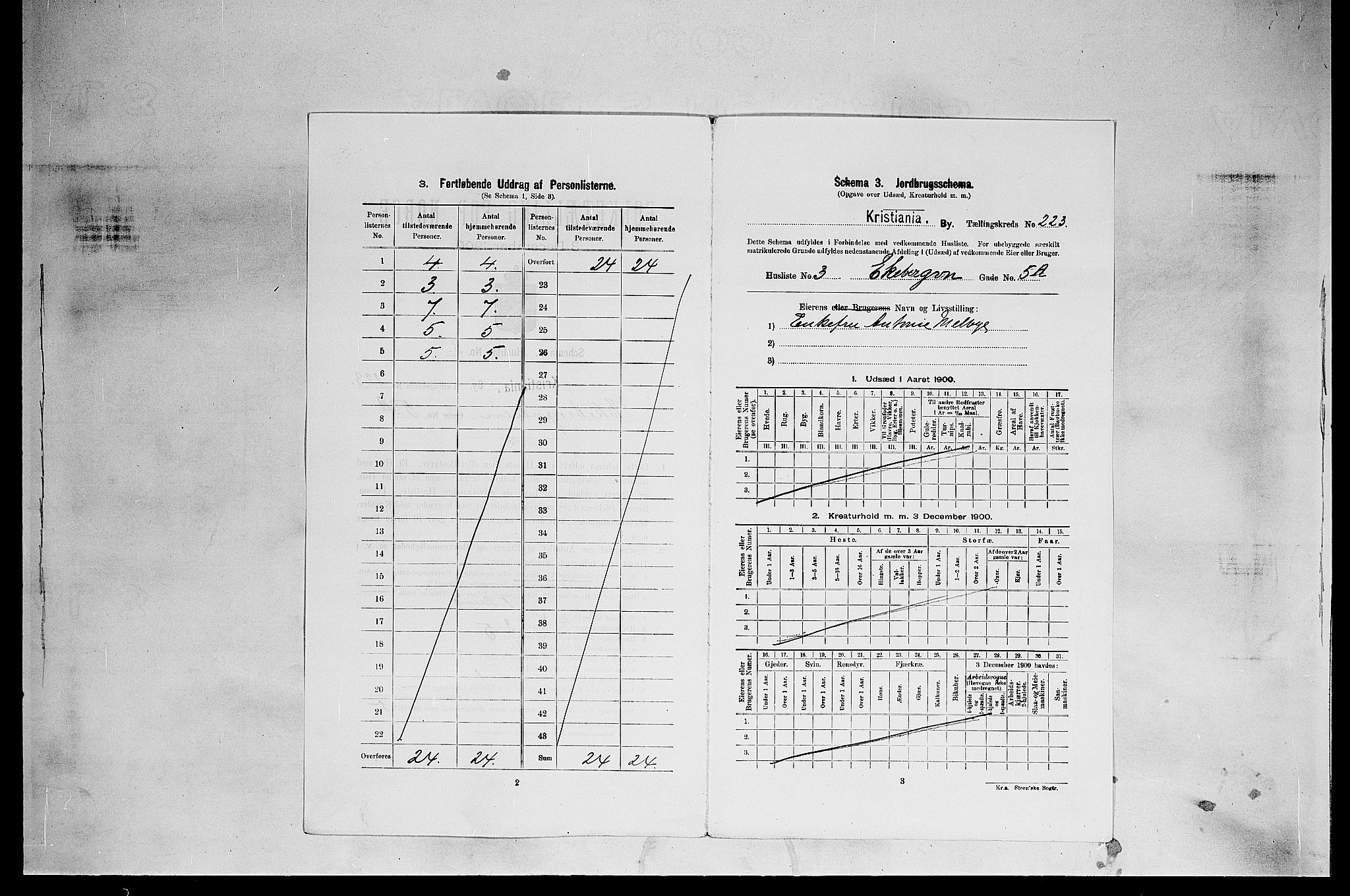 SAO, 1900 census for Kristiania, 1900, p. 18729