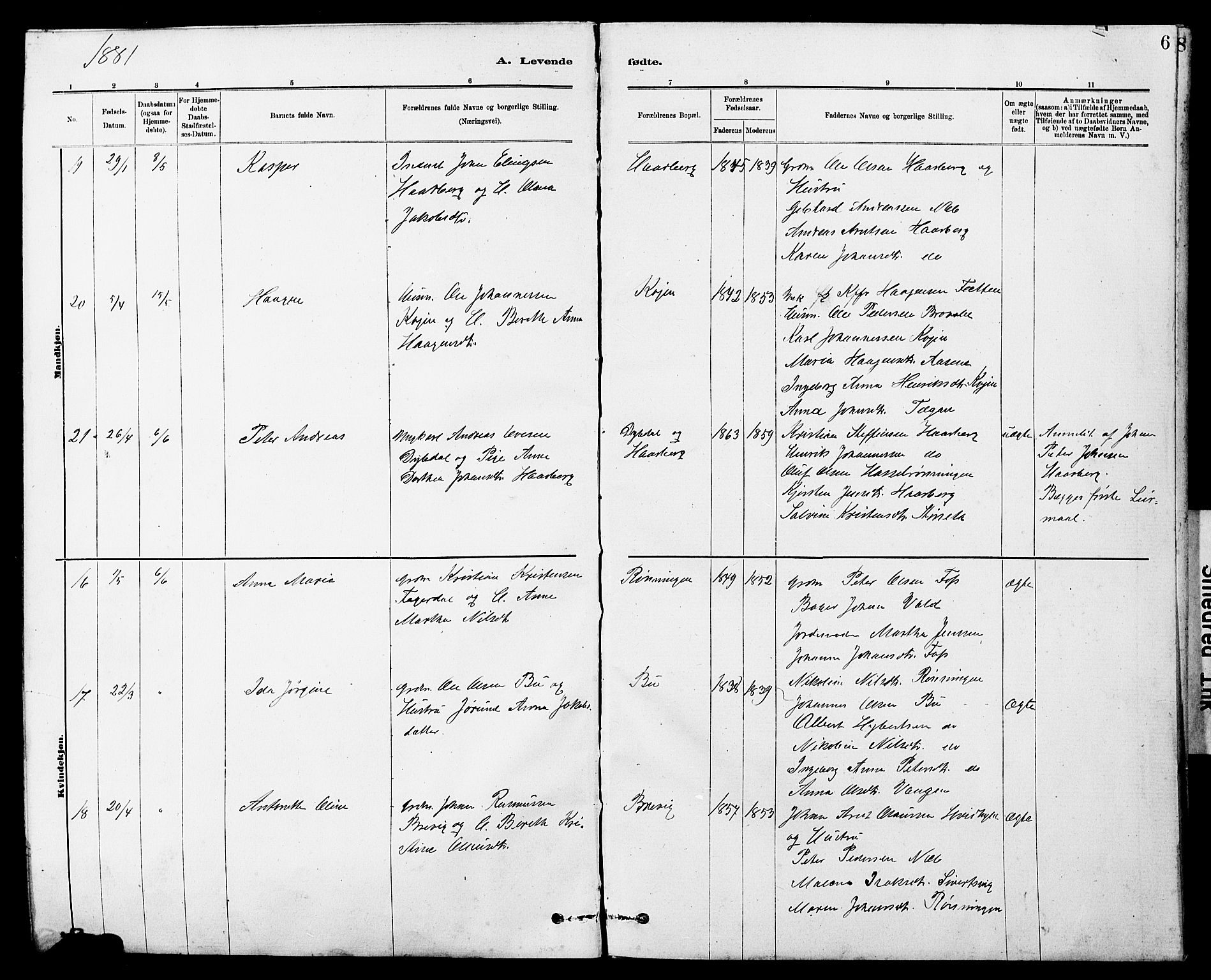 Ministerialprotokoller, klokkerbøker og fødselsregistre - Sør-Trøndelag, AV/SAT-A-1456/647/L0636: Parish register (copy) no. 647C01, 1881-1884, p. 6