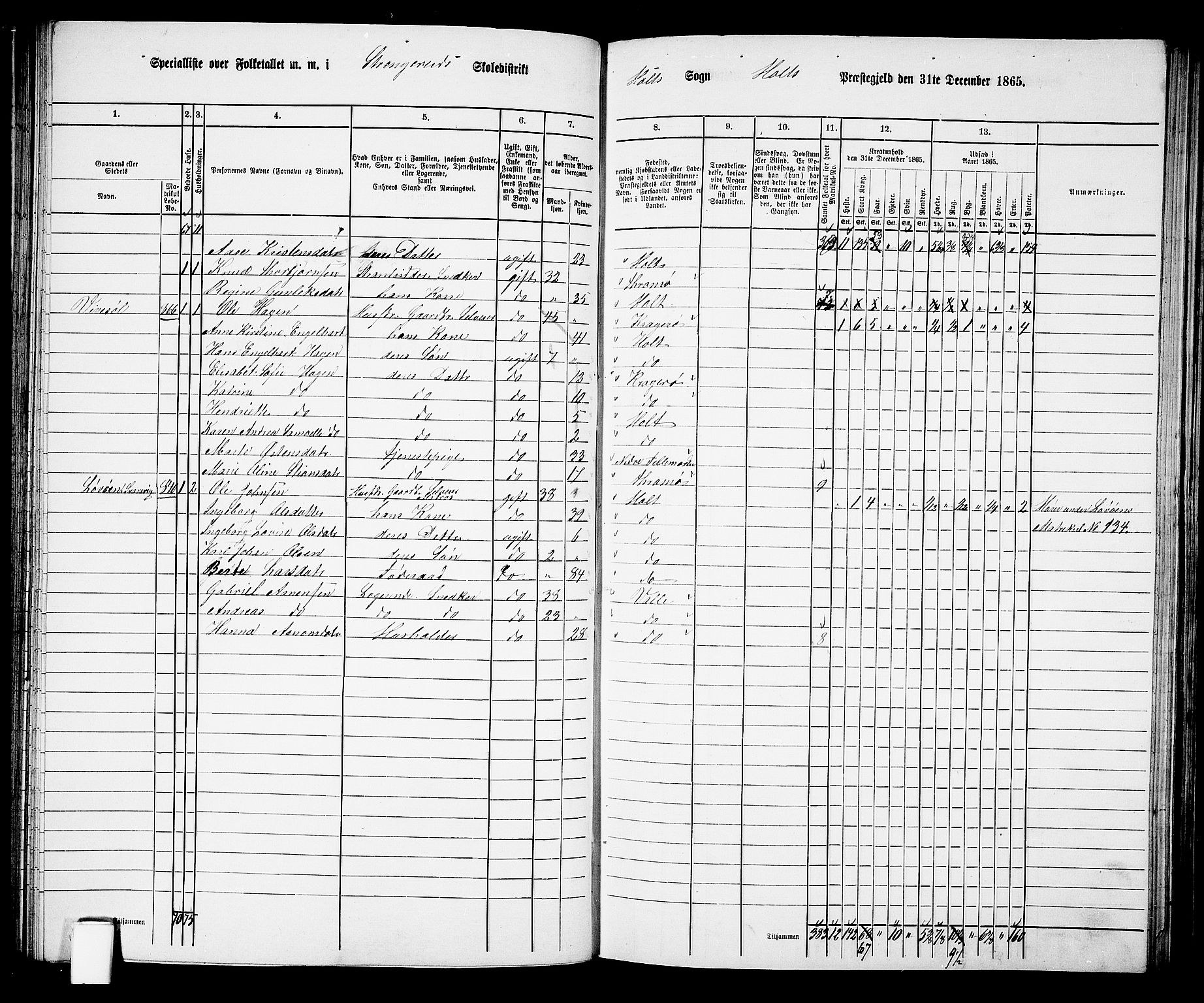 RA, 1865 census for Holt/Holt, 1865, p. 84