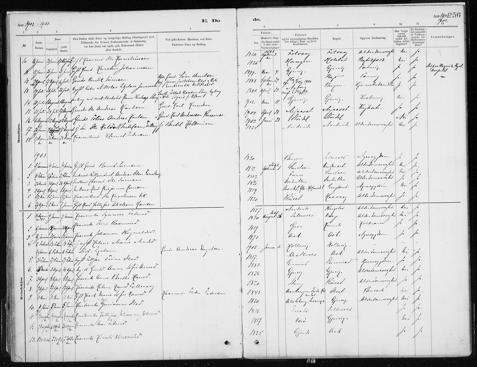 Askvoll sokneprestembete, SAB/A-79501/H/Haa/Haab/L0002: Parish register (official) no. B 2, 1879-1909, p. 256