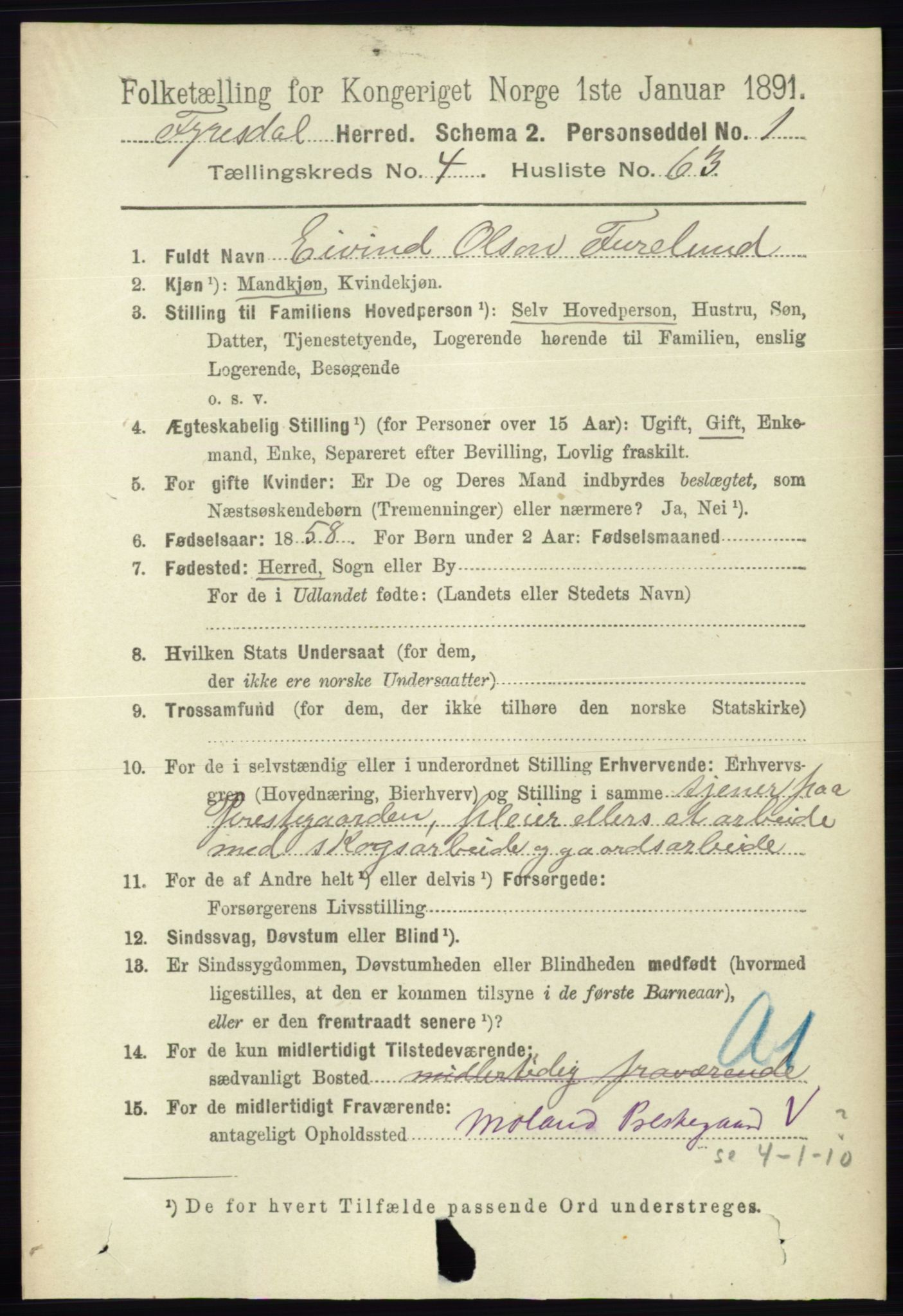 RA, 1891 census for 0831 Fyresdal, 1891, p. 1215