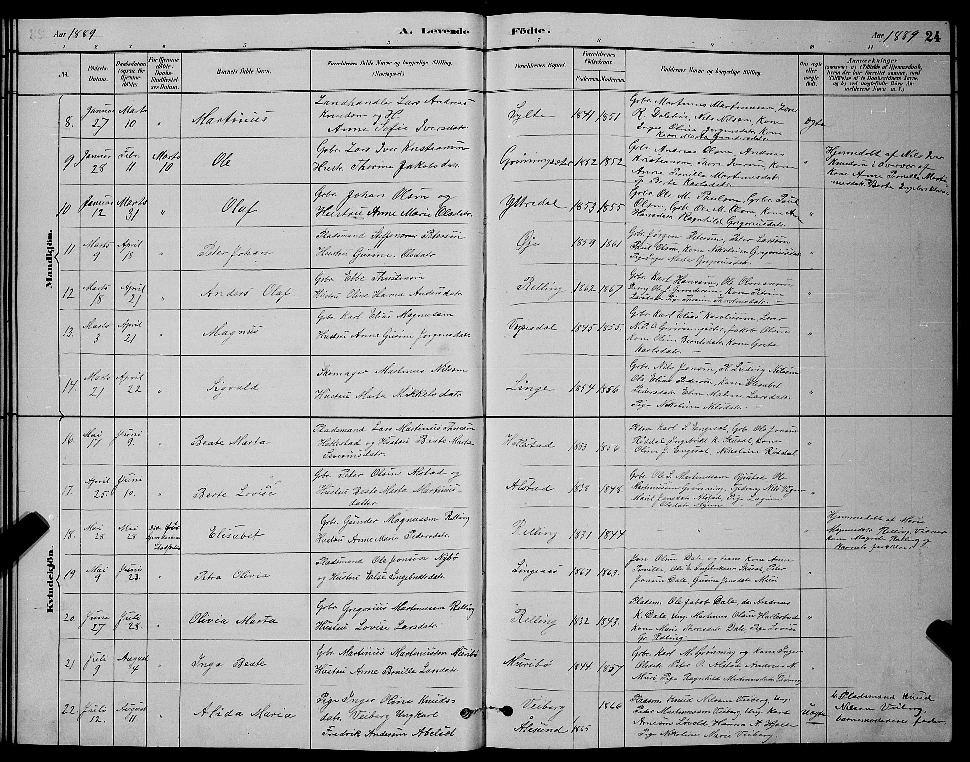 Ministerialprotokoller, klokkerbøker og fødselsregistre - Møre og Romsdal, AV/SAT-A-1454/519/L0263: Parish register (copy) no. 519C04, 1885-1892, p. 24