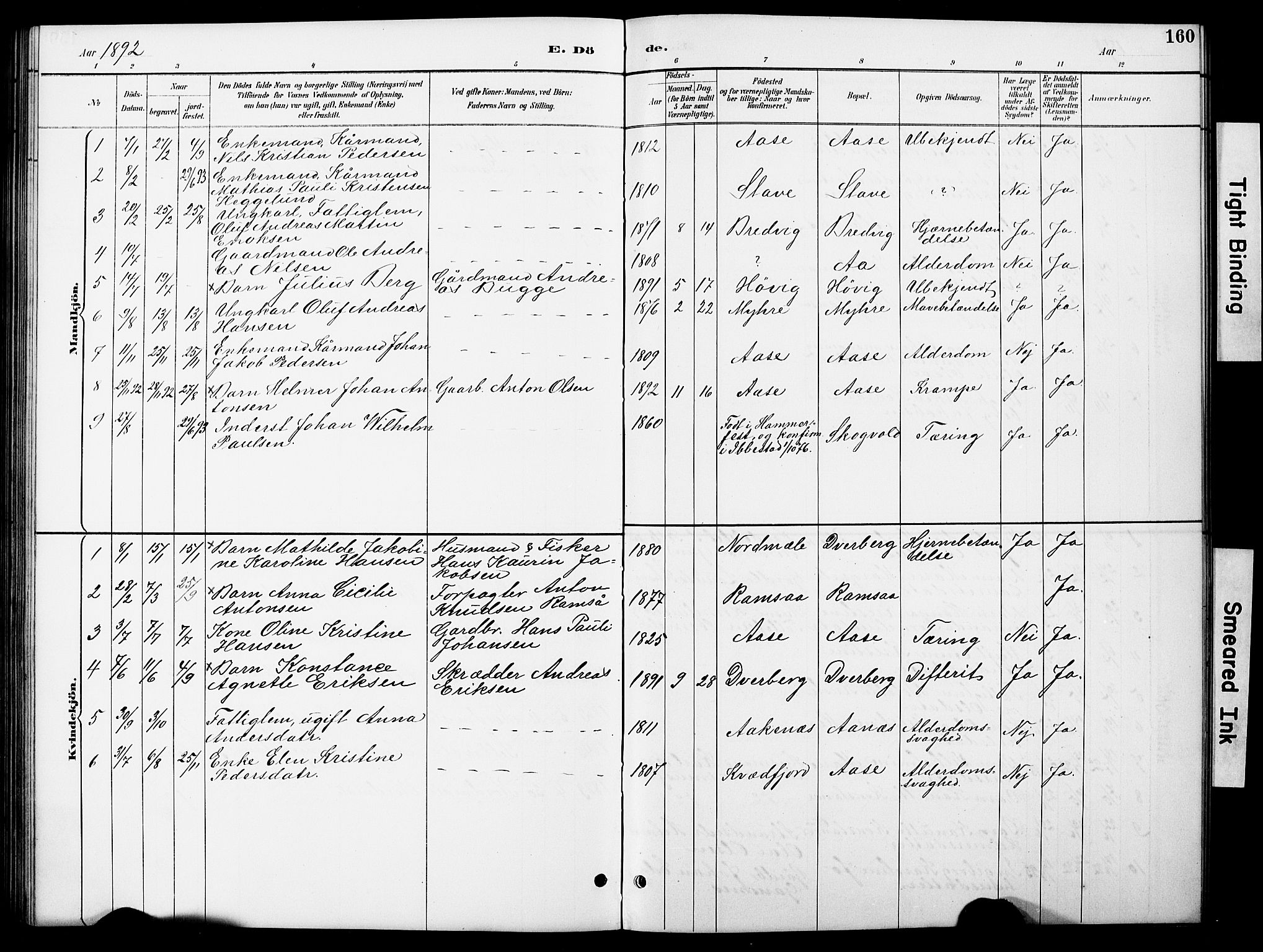 Ministerialprotokoller, klokkerbøker og fødselsregistre - Nordland, AV/SAT-A-1459/897/L1413: Parish register (copy) no. 897C03, 1887-1903, p. 160