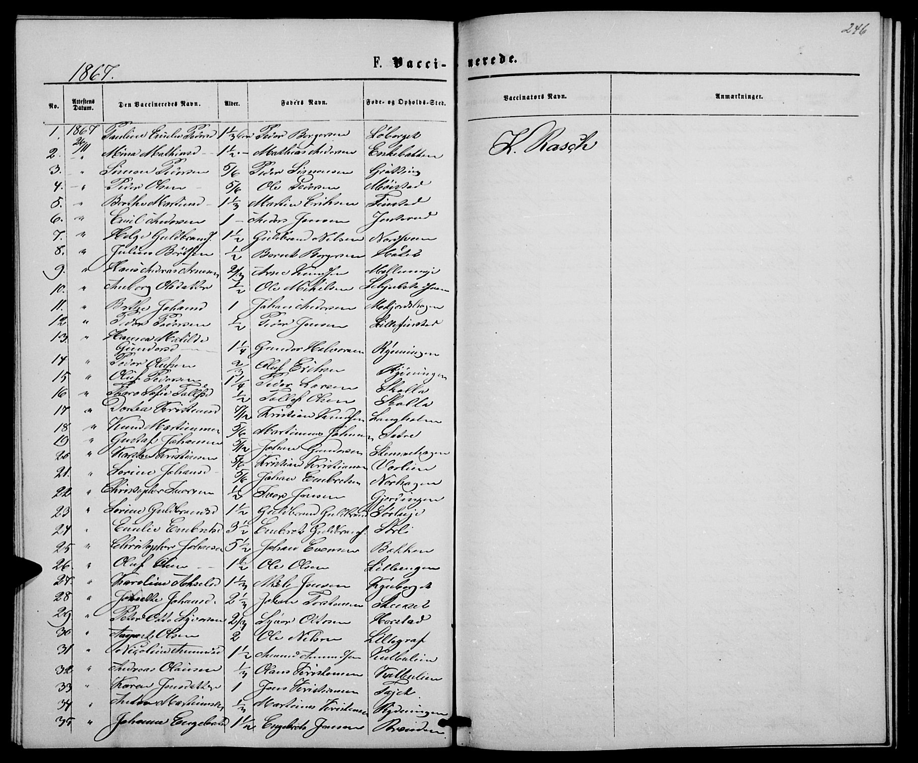Elverum prestekontor, SAH/PREST-044/H/Ha/Hab/L0004: Parish register (copy) no. 4, 1866-1874, p. 246