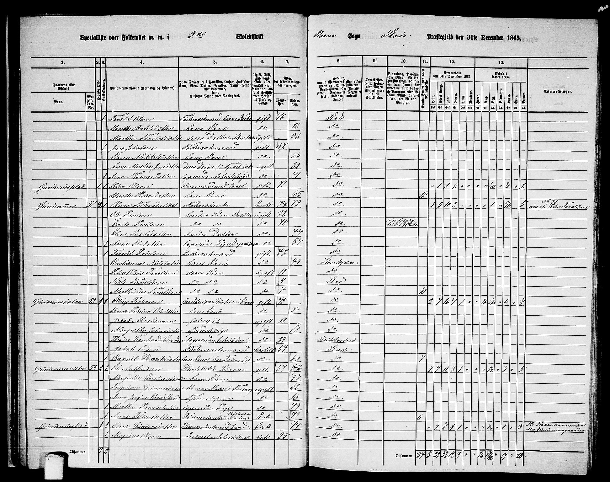 RA, 1865 census for Stod, 1865, p. 41