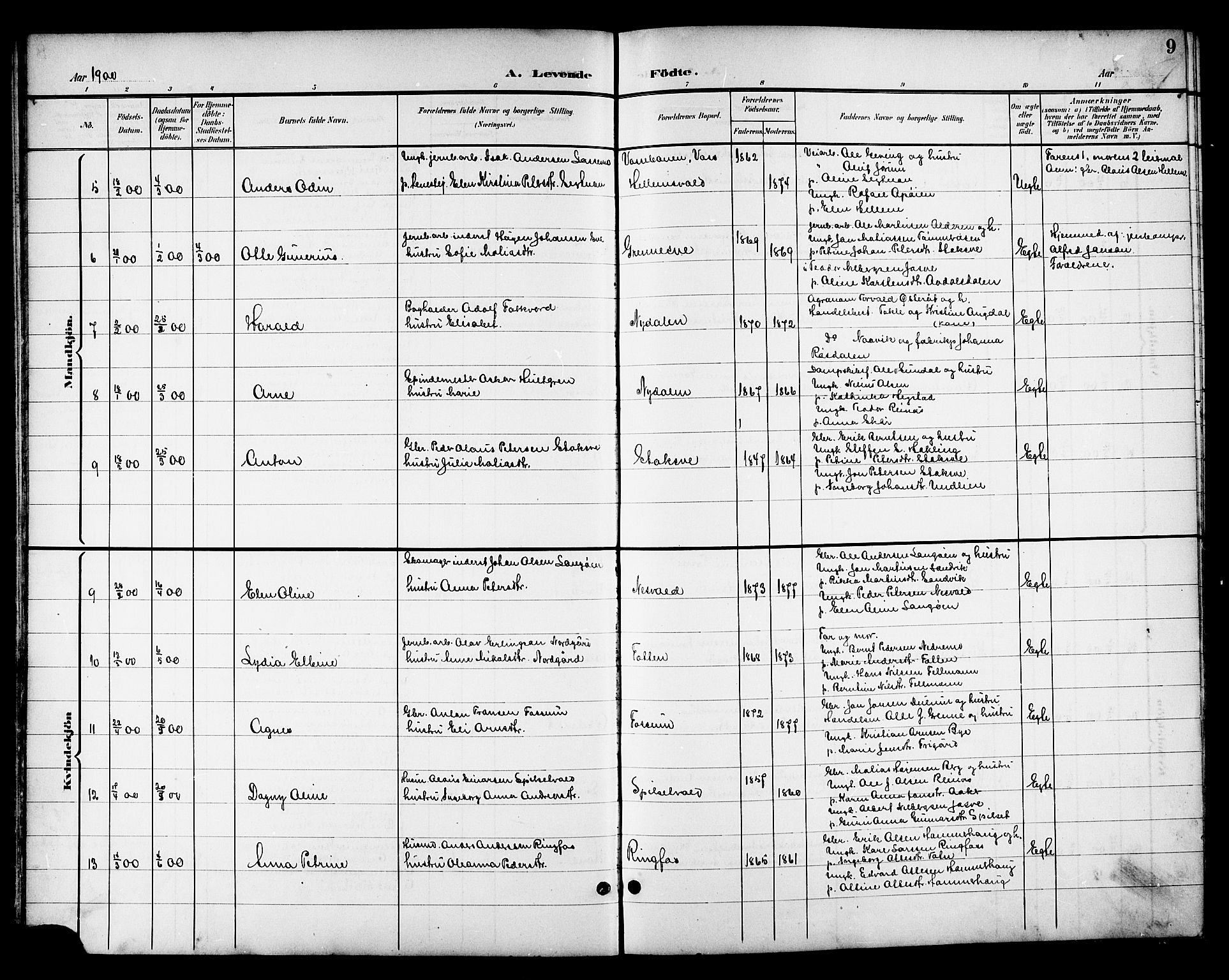 Ministerialprotokoller, klokkerbøker og fødselsregistre - Nord-Trøndelag, SAT/A-1458/714/L0135: Parish register (copy) no. 714C04, 1899-1918, p. 9