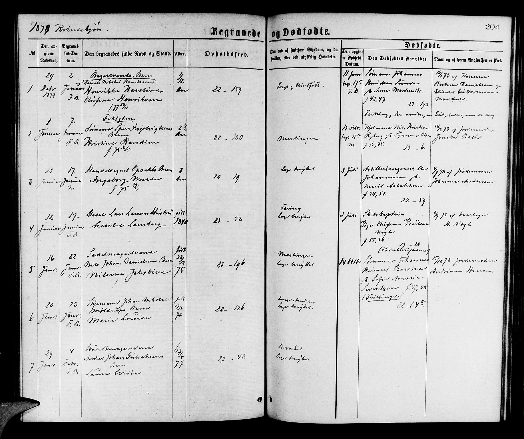 Korskirken sokneprestembete, SAB/A-76101/H/Hab: Parish register (copy) no. E 3, 1871-1883, p. 204