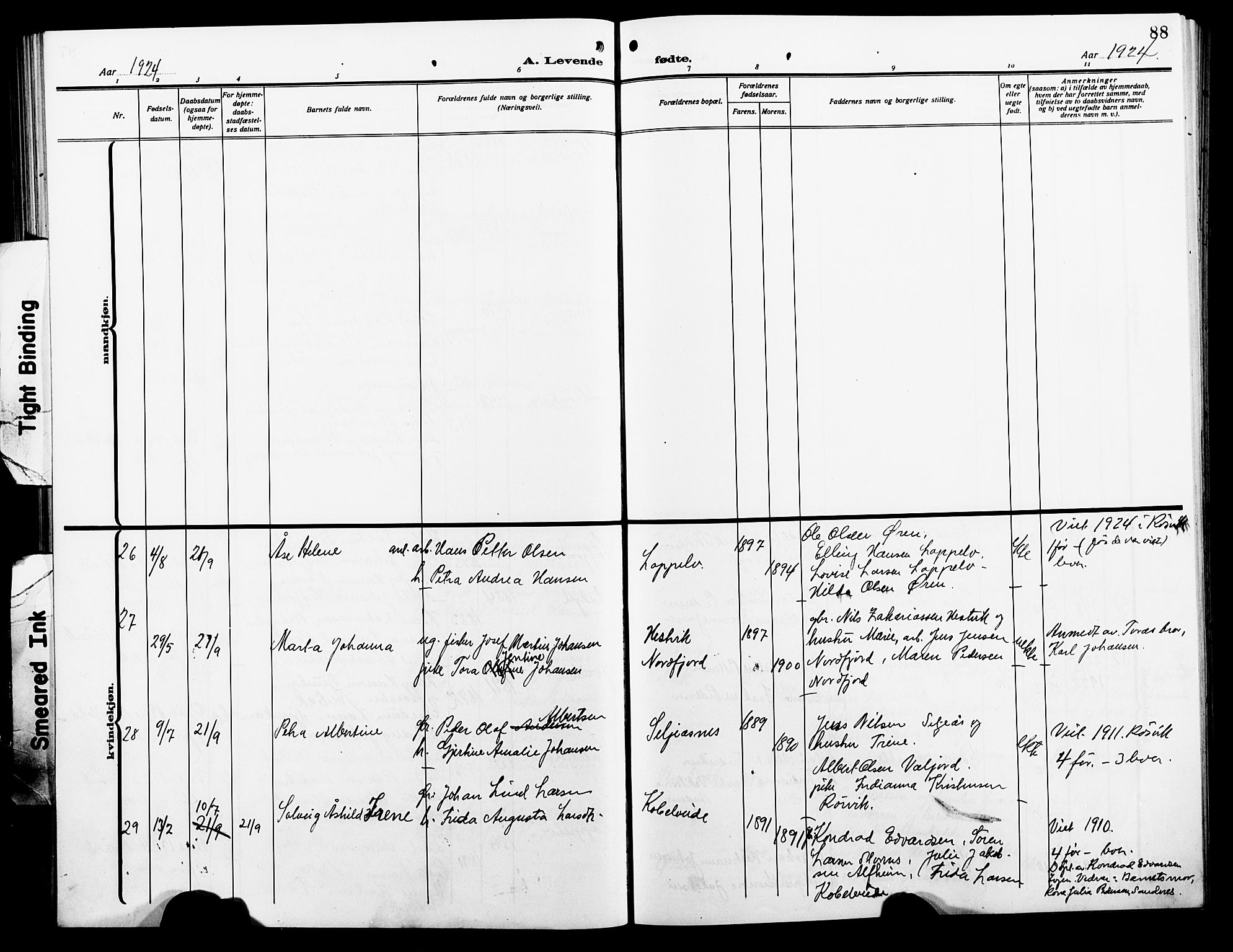 Ministerialprotokoller, klokkerbøker og fødselsregistre - Nordland, AV/SAT-A-1459/854/L0787: Parish register (copy) no. 854C03, 1913-1926, p. 88