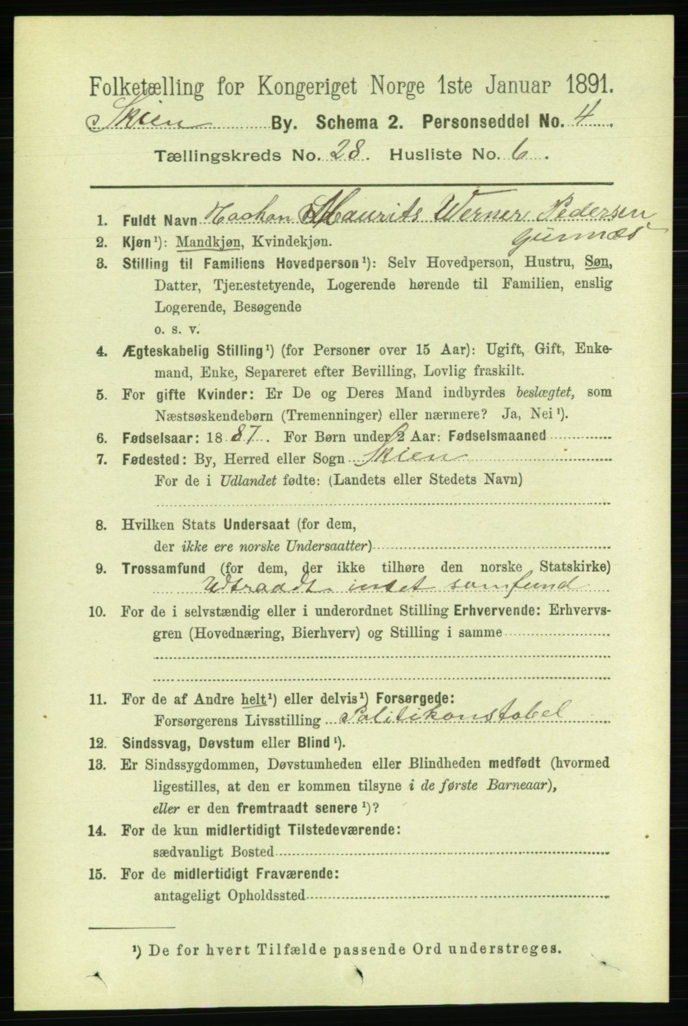 RA, 1891 census for 0806 Skien, 1891, p. 6591