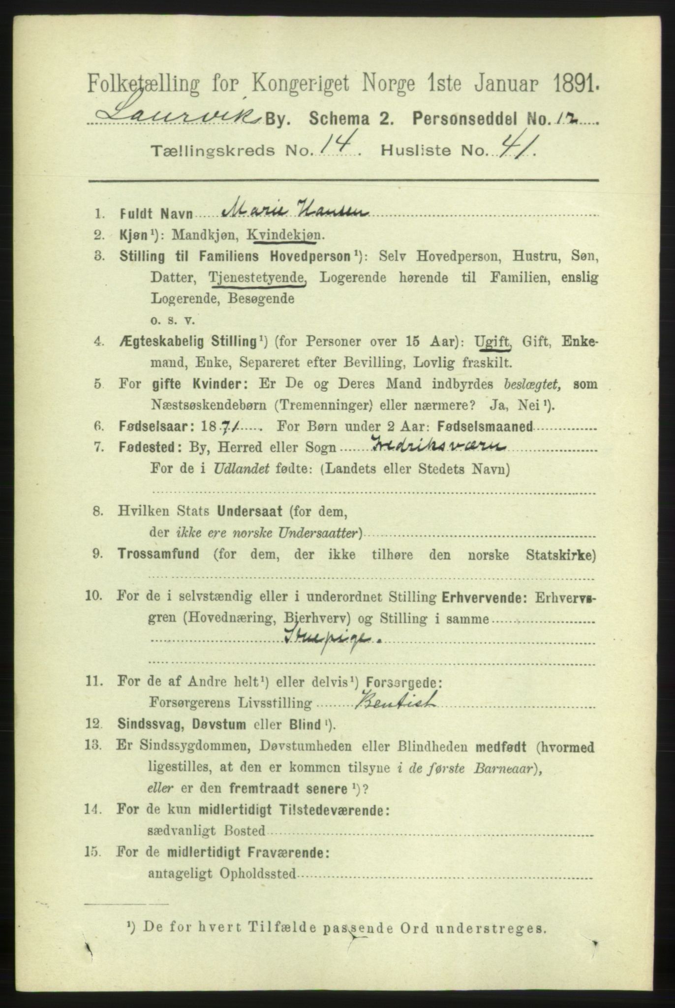 RA, 1891 census for 0707 Larvik, 1891, p. 11315