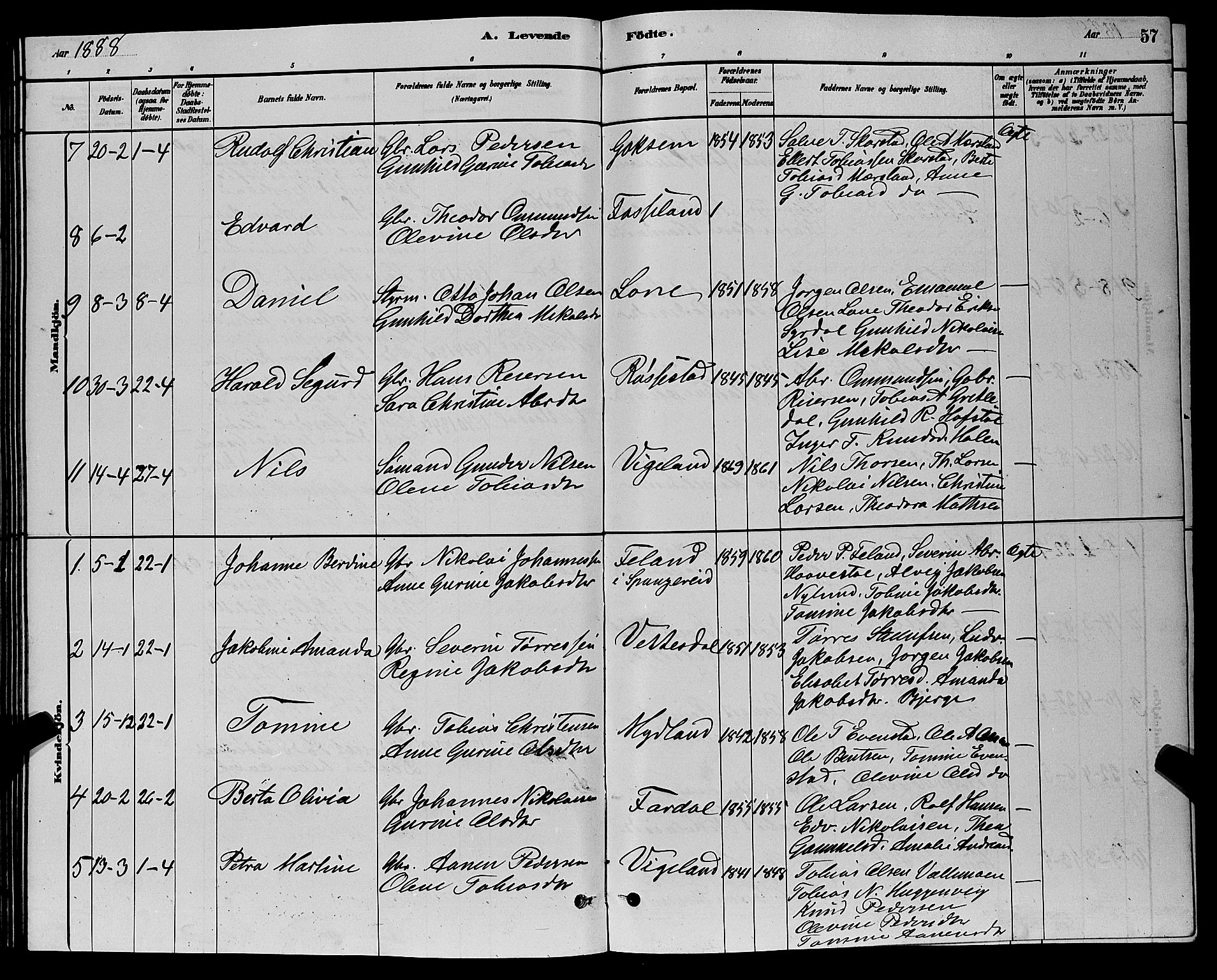 Sør-Audnedal sokneprestkontor, AV/SAK-1111-0039/F/Fb/Fbb/L0005: Parish register (copy) no. B 5, 1880-1892, p. 57