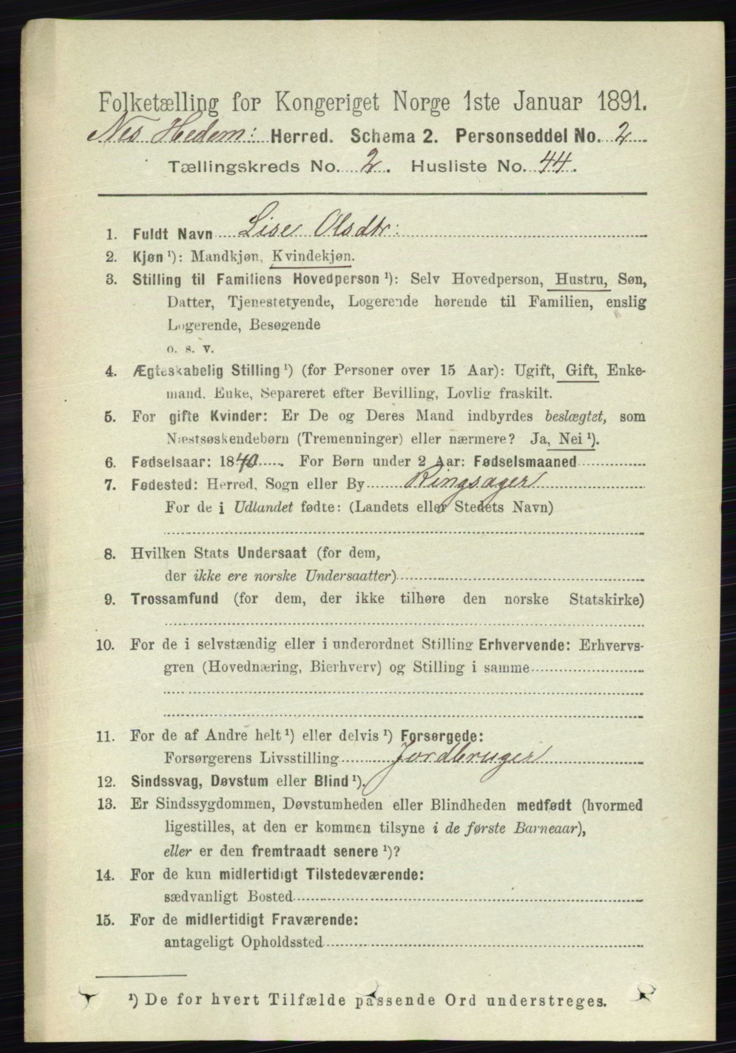 RA, 1891 census for 0411 Nes, 1891, p. 1390