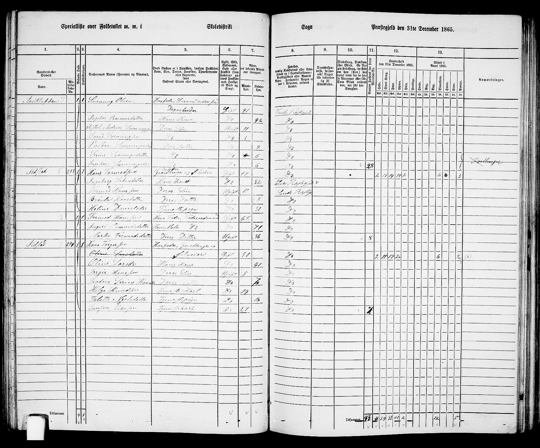 RA, 1865 census for Sand, 1865, p. 78