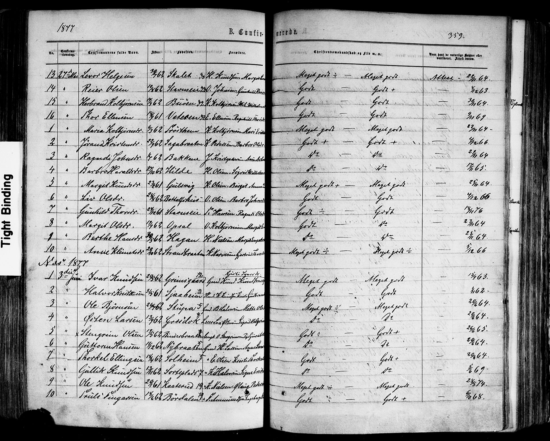 Nes kirkebøker, AV/SAKO-A-236/F/Fa/L0010: Parish register (official) no. 10, 1864-1880, p. 359