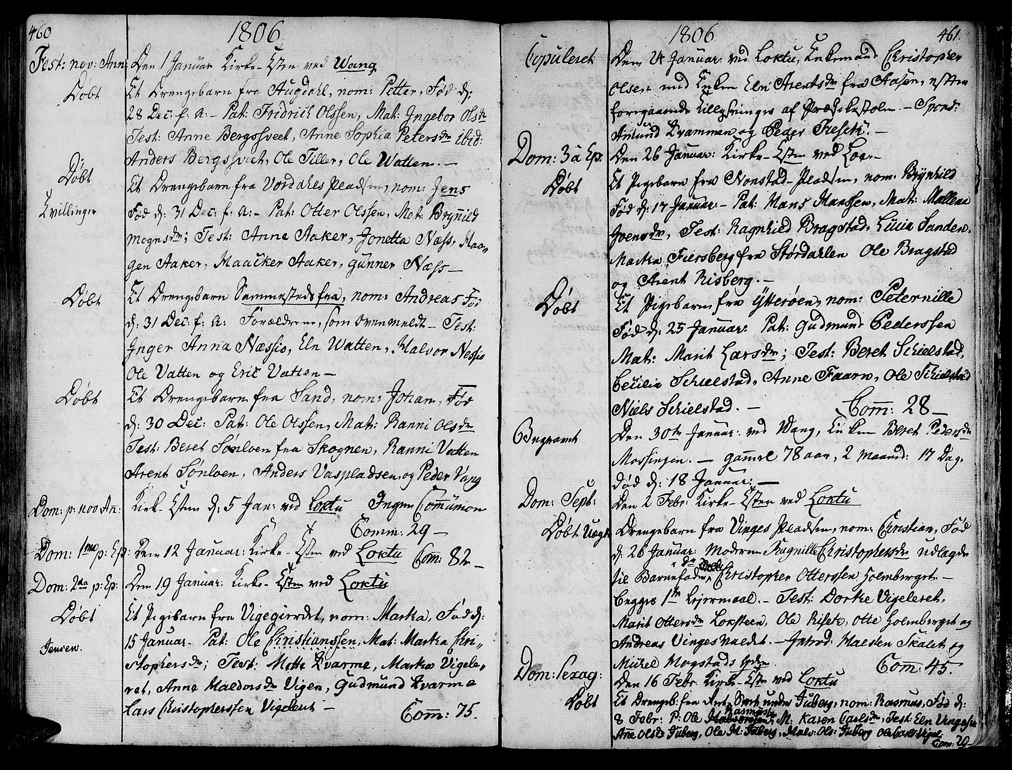 Ministerialprotokoller, klokkerbøker og fødselsregistre - Nord-Trøndelag, SAT/A-1458/713/L0110: Parish register (official) no. 713A02, 1778-1811, p. 460-461