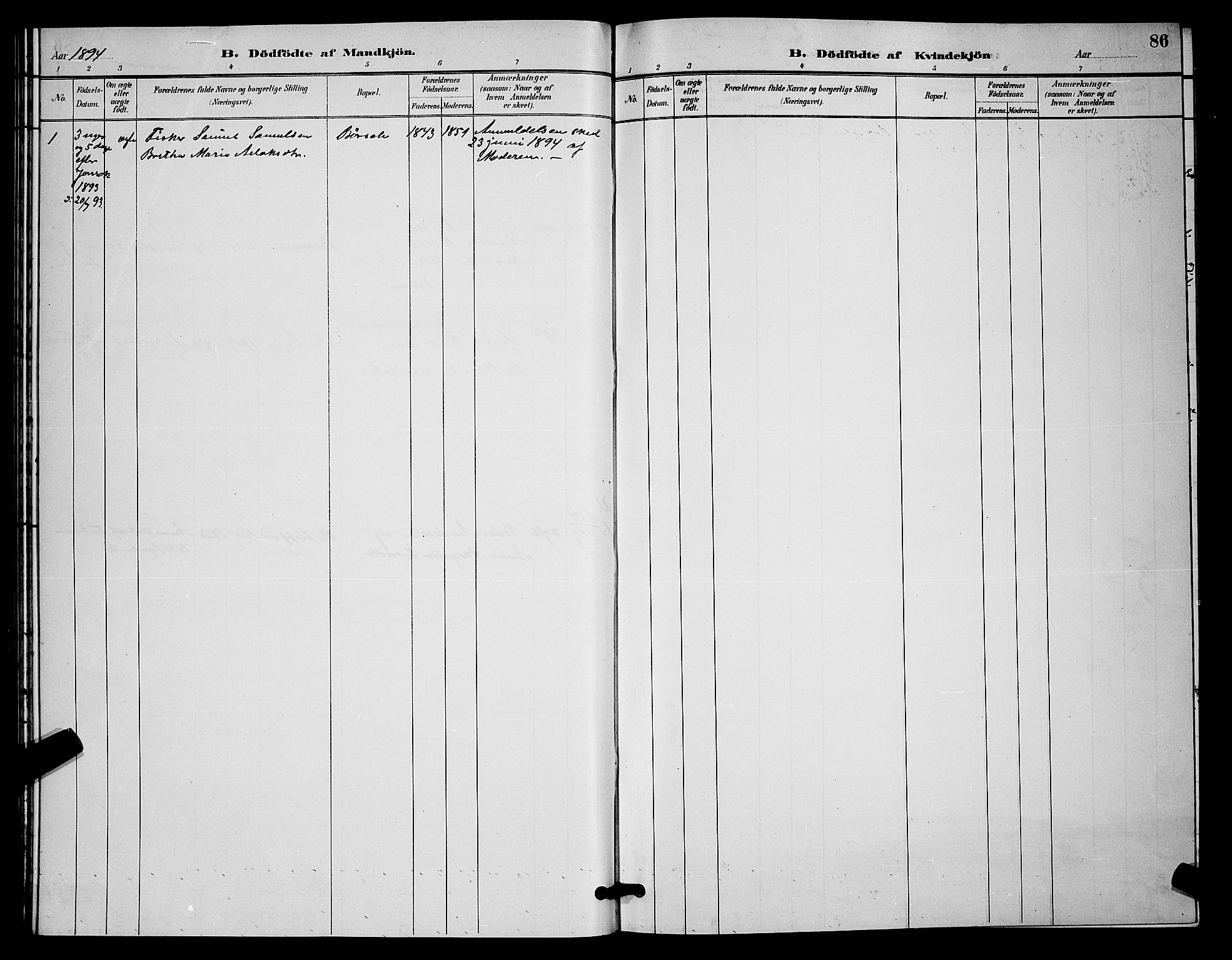 Kistrand/Porsanger sokneprestembete, AV/SATØ-S-1351/H/Hb/L0004.klokk: Parish register (copy) no. 4, 1885-1894, p. 86