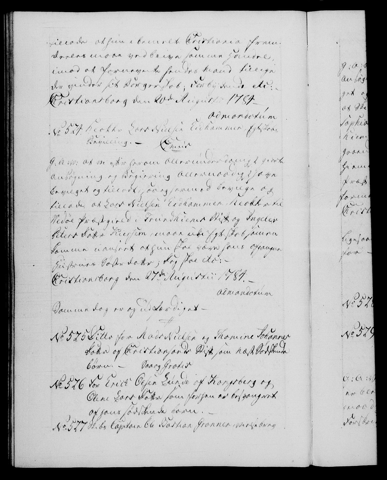 Danske Kanselli 1572-1799, AV/RA-EA-3023/F/Fc/Fca/Fcaa/L0050: Norske registre, 1784-1785, p. 316b