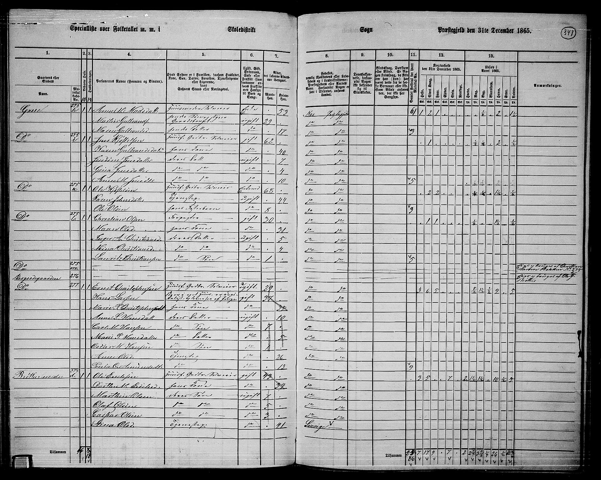 RA, 1865 census for Nes, 1865, p. 311