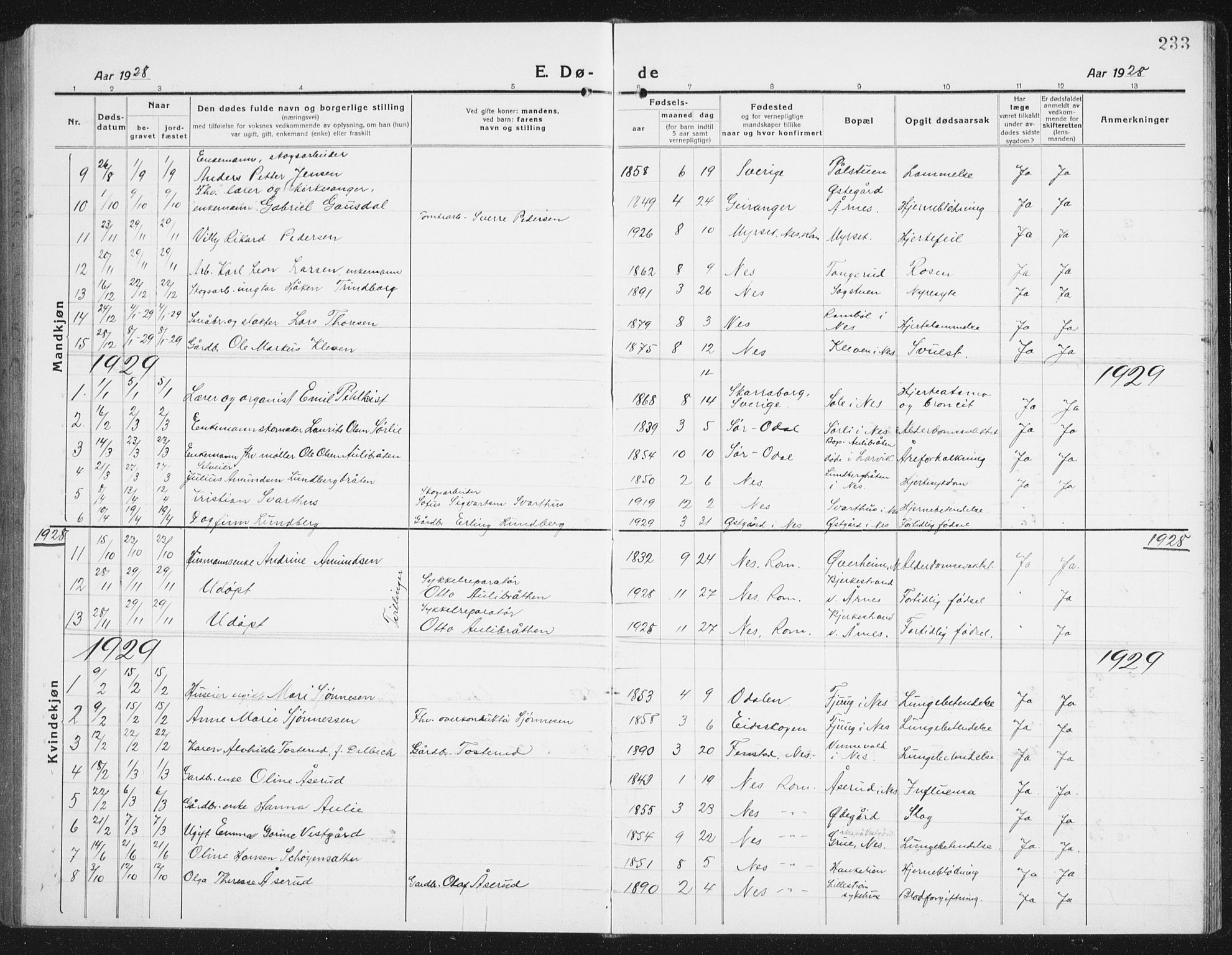 Nes prestekontor Kirkebøker, SAO/A-10410/G/Gc/L0002: Parish register (copy) no. III 2, 1915-1943, p. 233