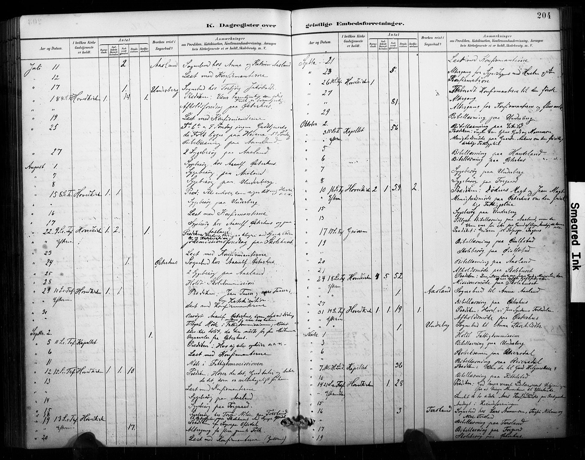 Åseral sokneprestkontor, AV/SAK-1111-0051/F/Fa/L0003: Parish register (official) no. A 3, 1884-1901, p. 204